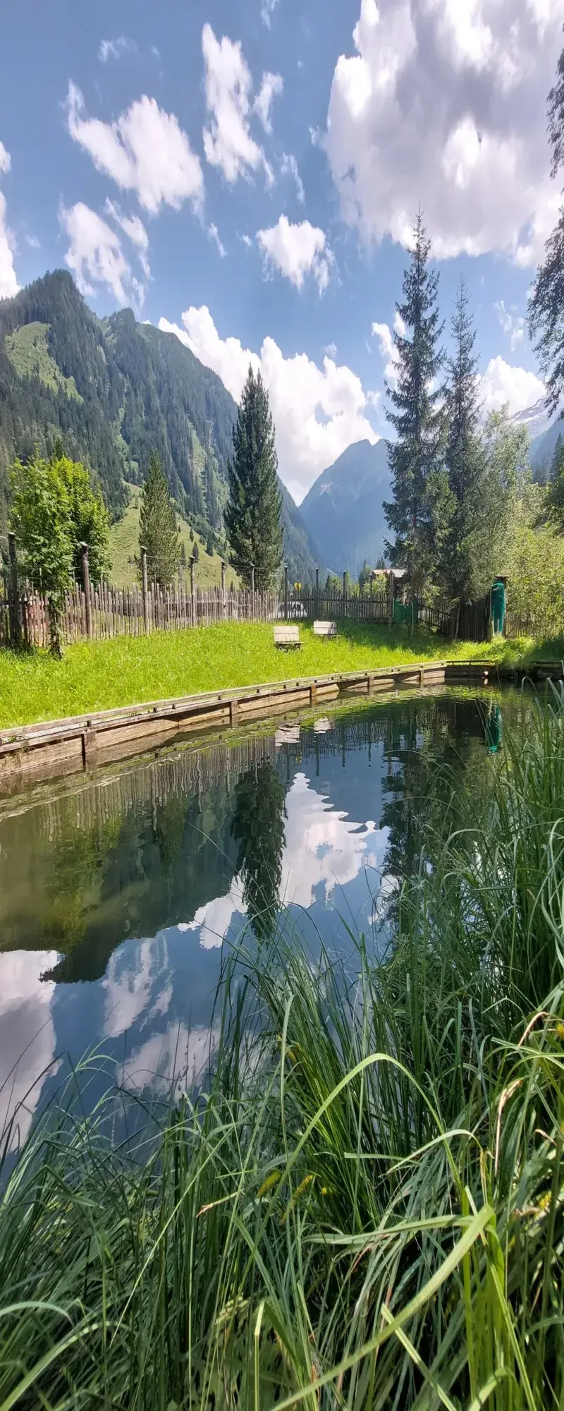 Arla Fisch Teich Landschaft