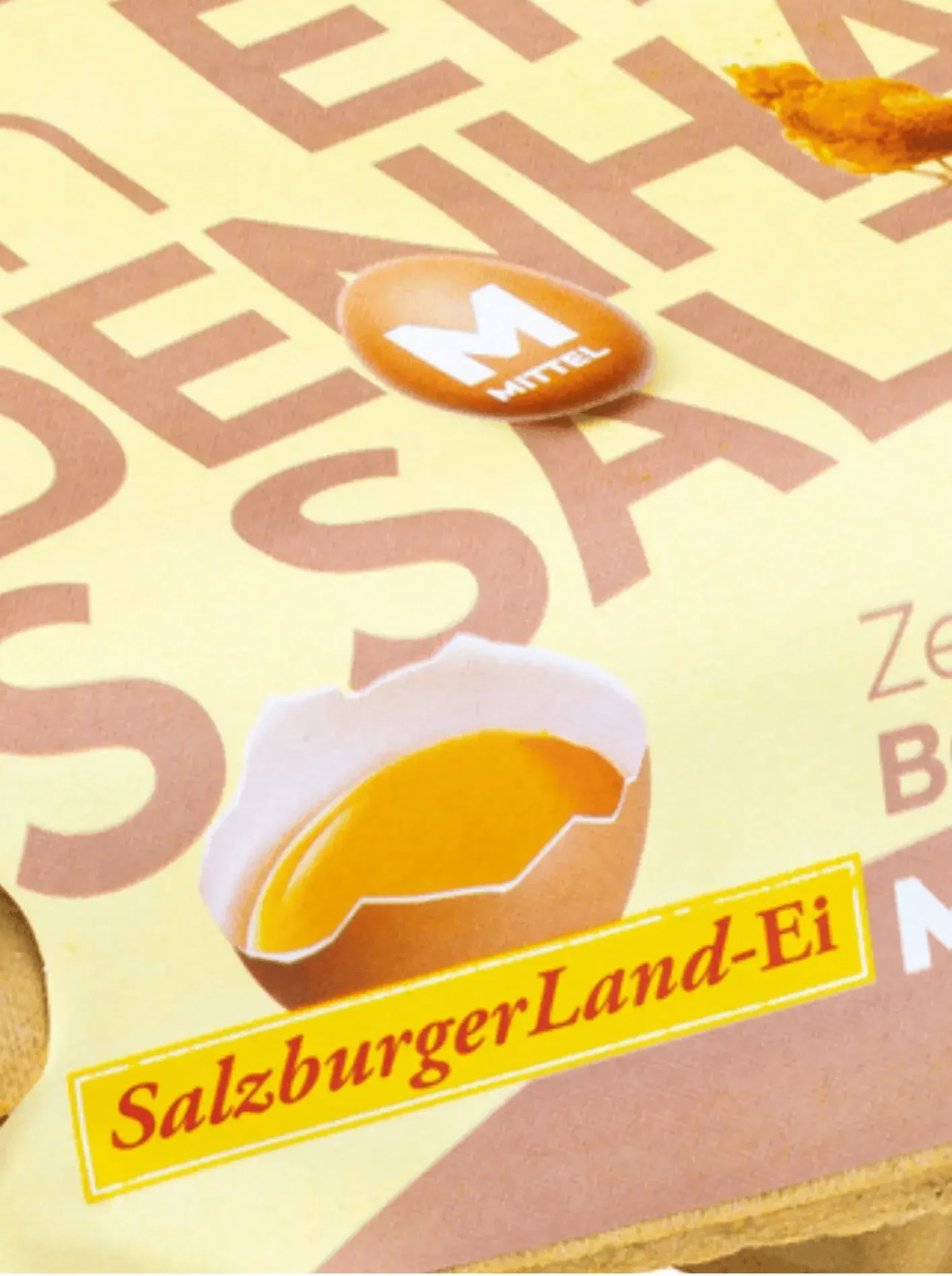 SalzburgerLandEi Bodenhaltung_Produktfoto hoch ©SalzburgerLand Ei