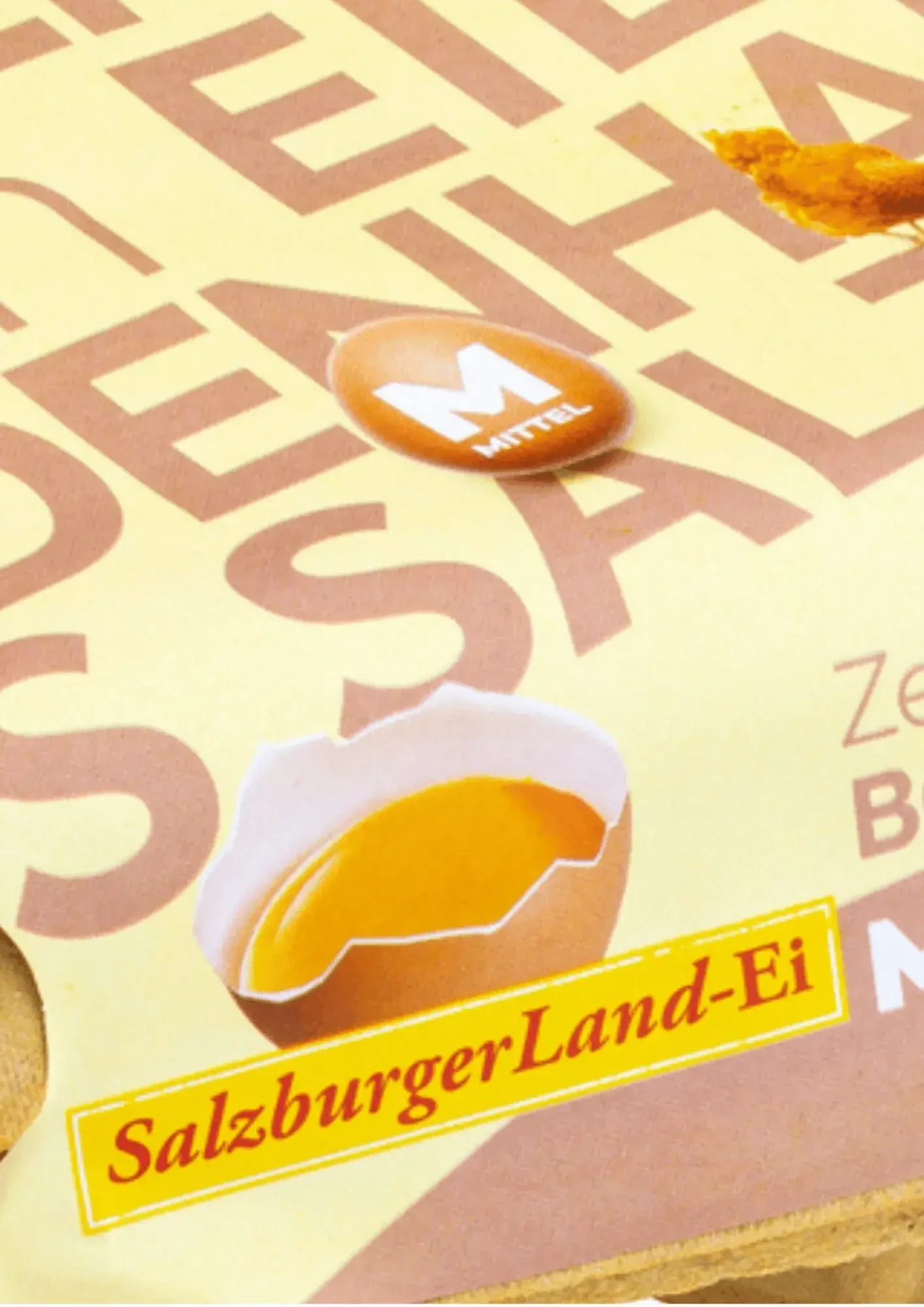 SalzburgerLandEi Bodenhaltung_Produktfoto hoch ©SalzburgerLand Ei