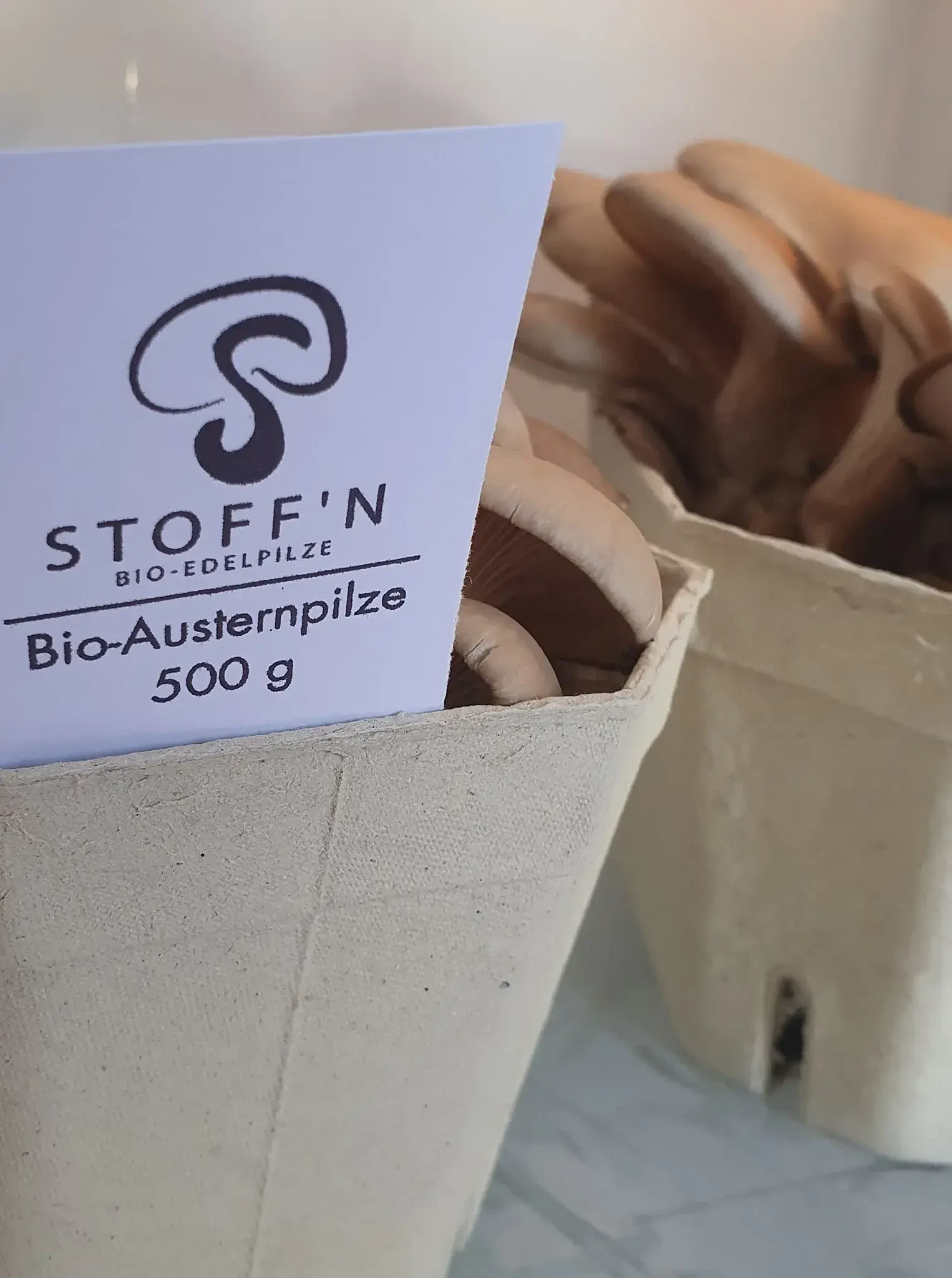 Austernpilze Stoffn Sebastian Reindl Bio