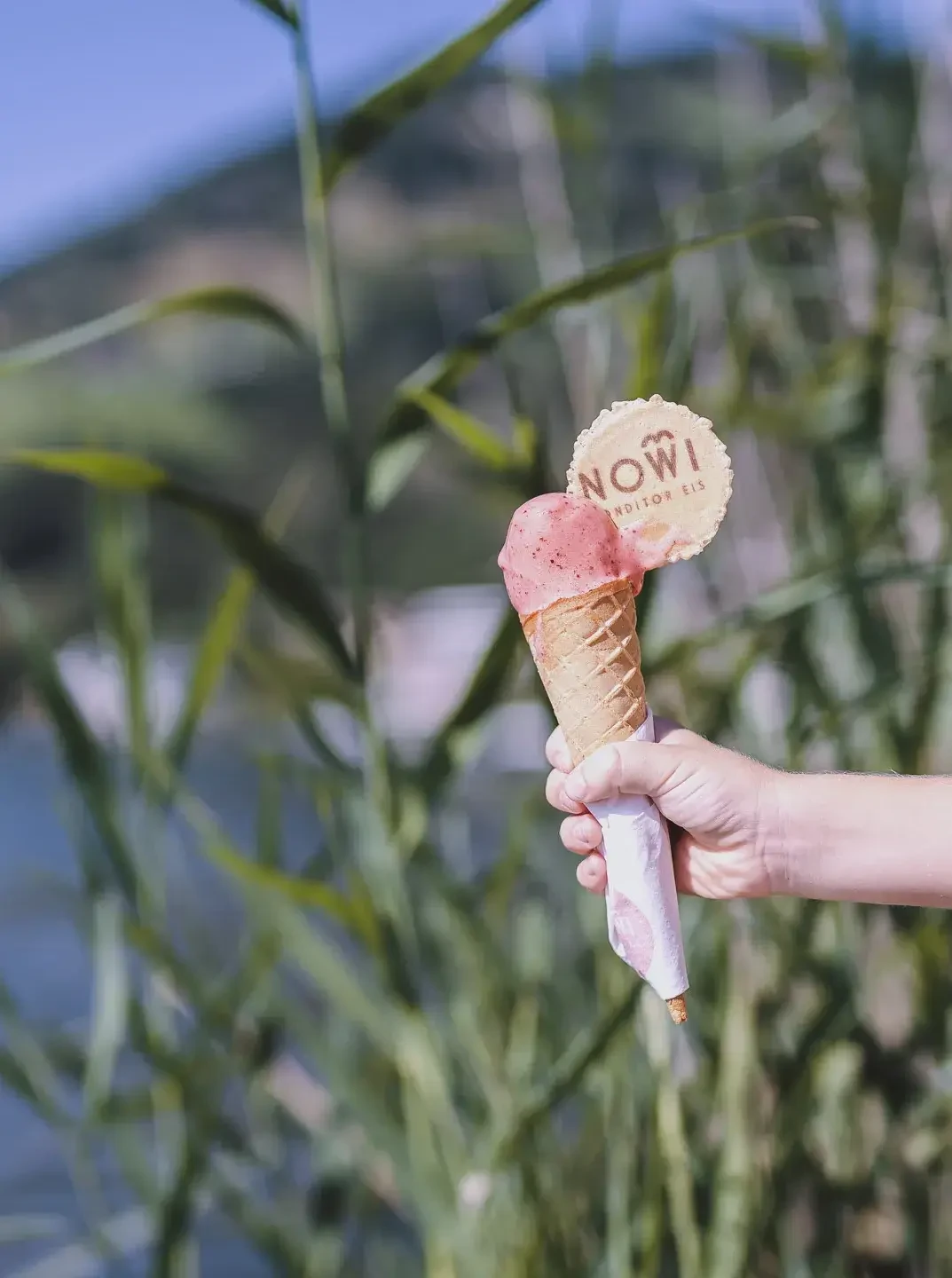 Nowi Eis. Sommer. Regionaler Eisgenuss aus dem Pinzgau. Auhof