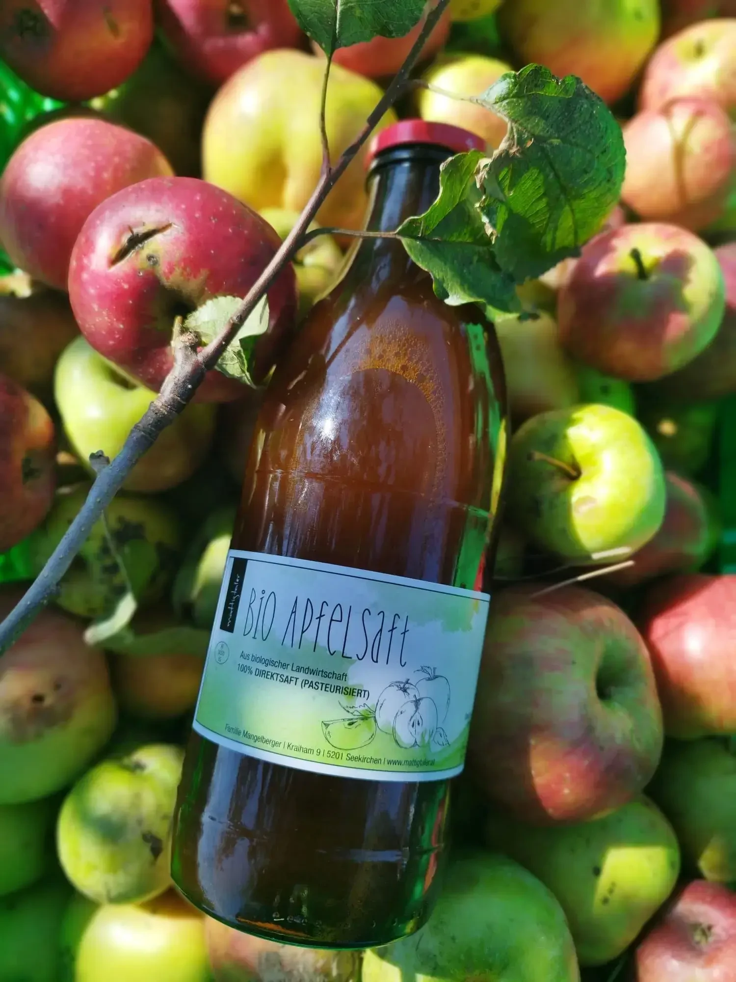 Apfelsaft mit Äpfeln