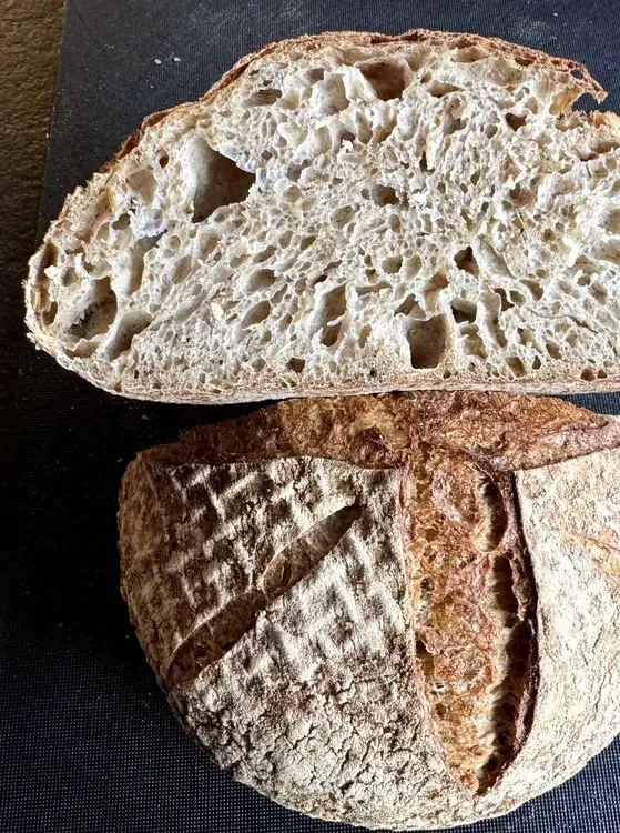 Brot Biertreber