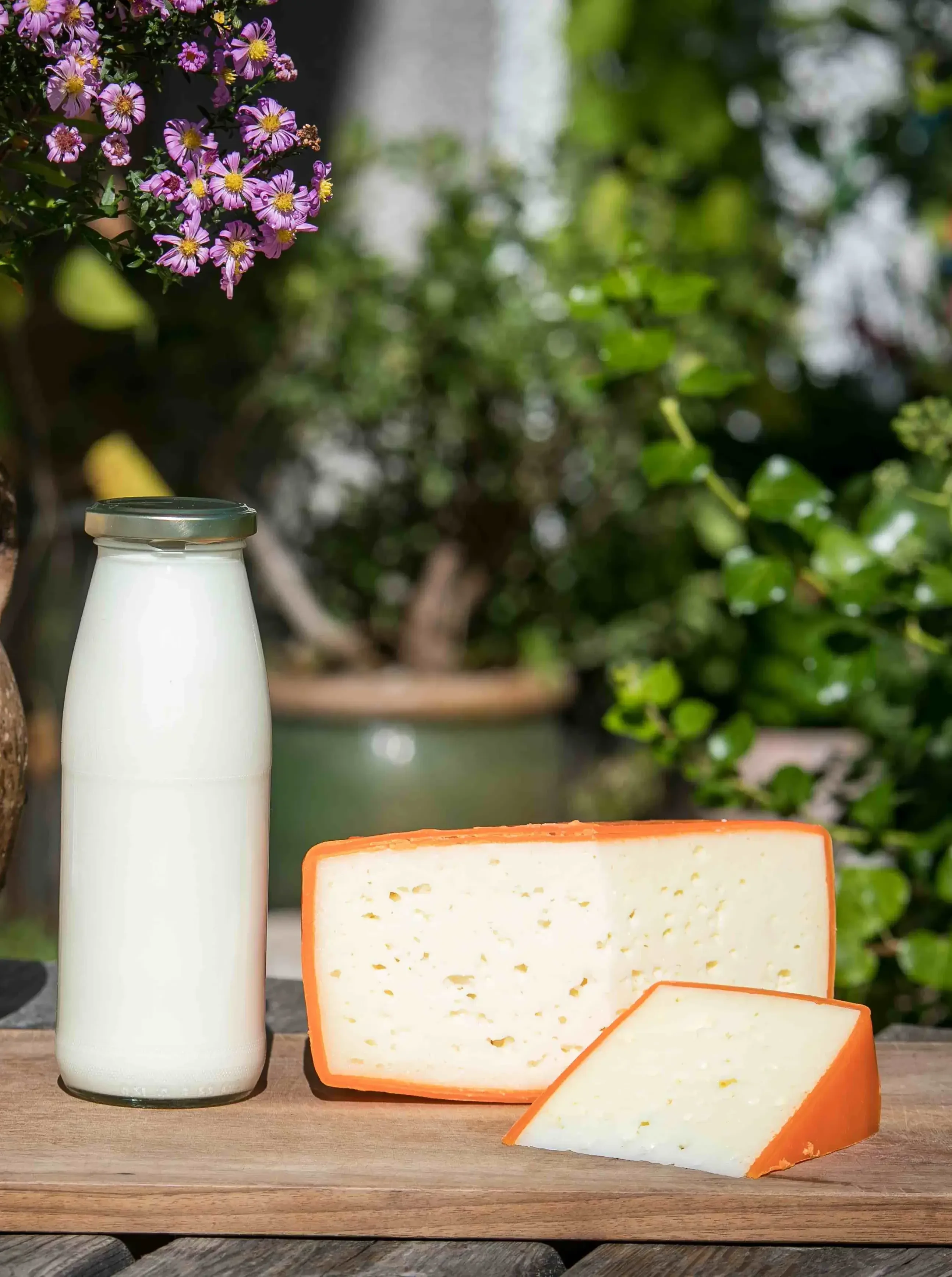 Tilsiter Schnittkäse