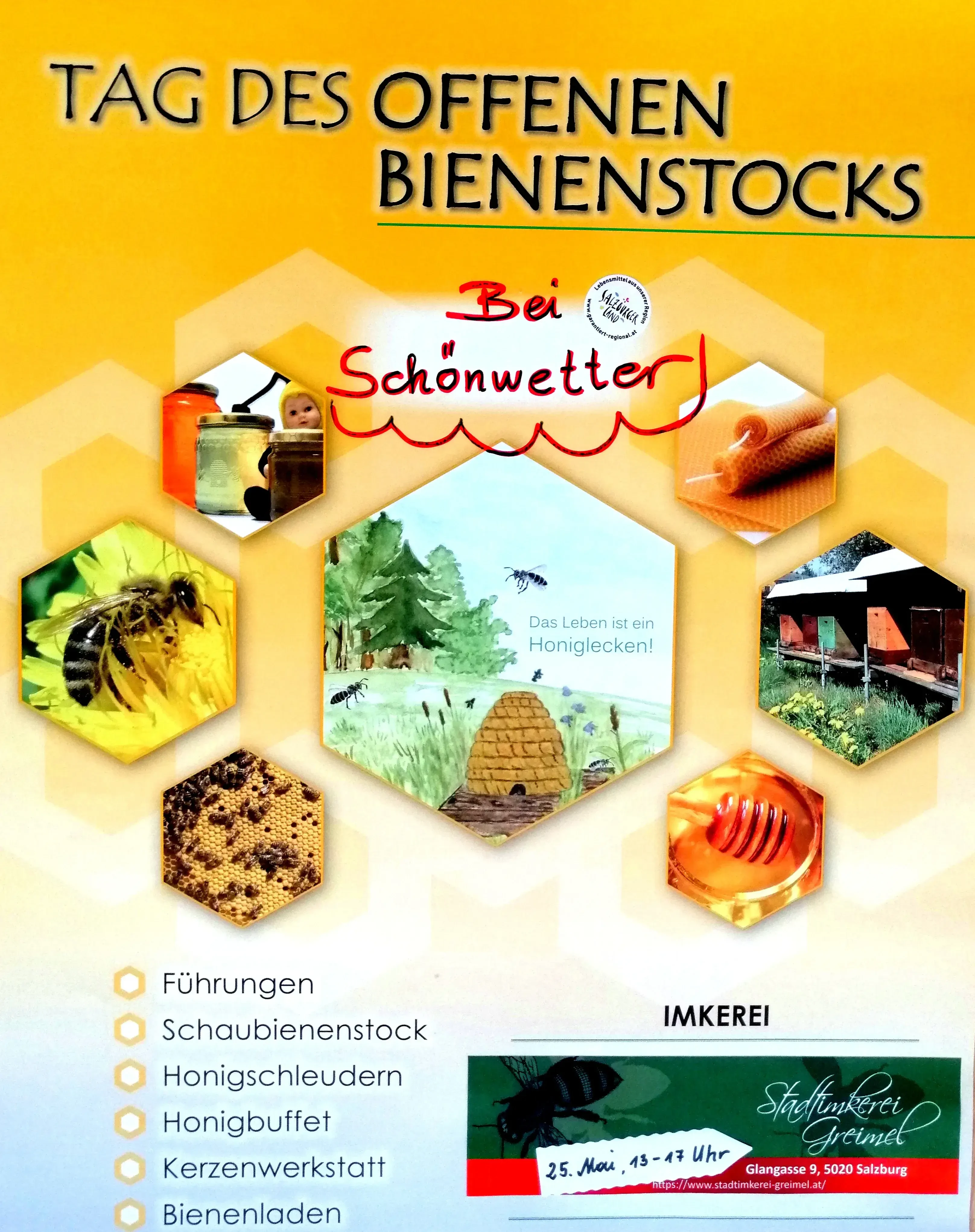 Tag des offenen Bienenstocks
