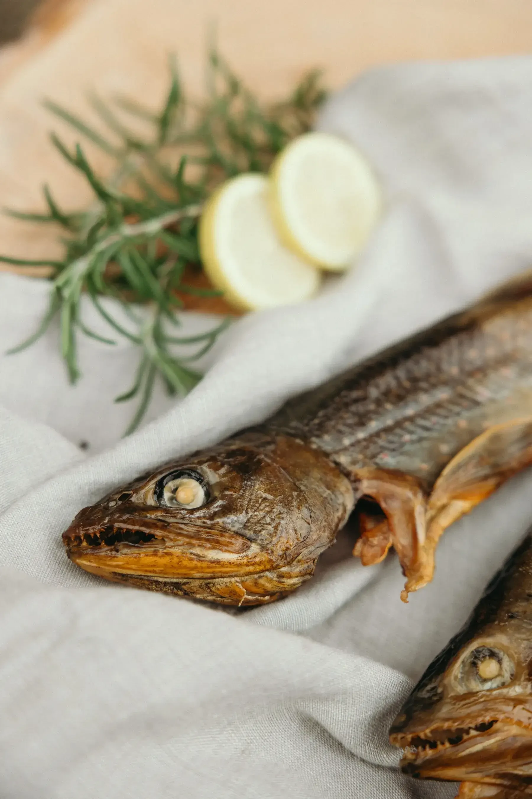 Räucherfisch