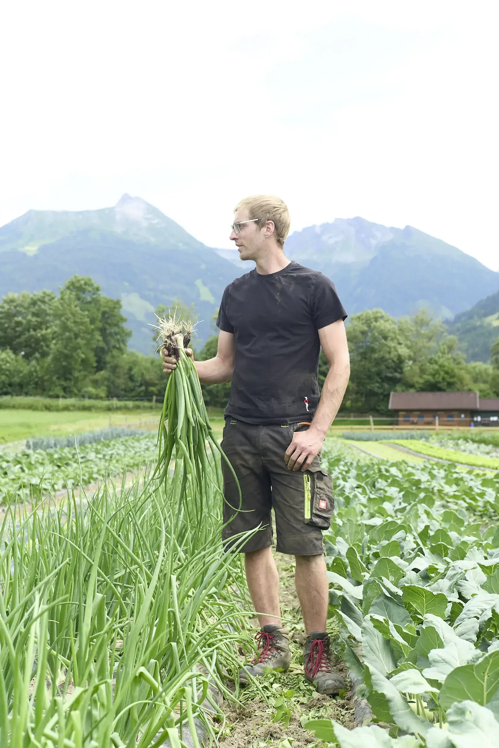 Bauer am Feld mit Frühlingszwiebel