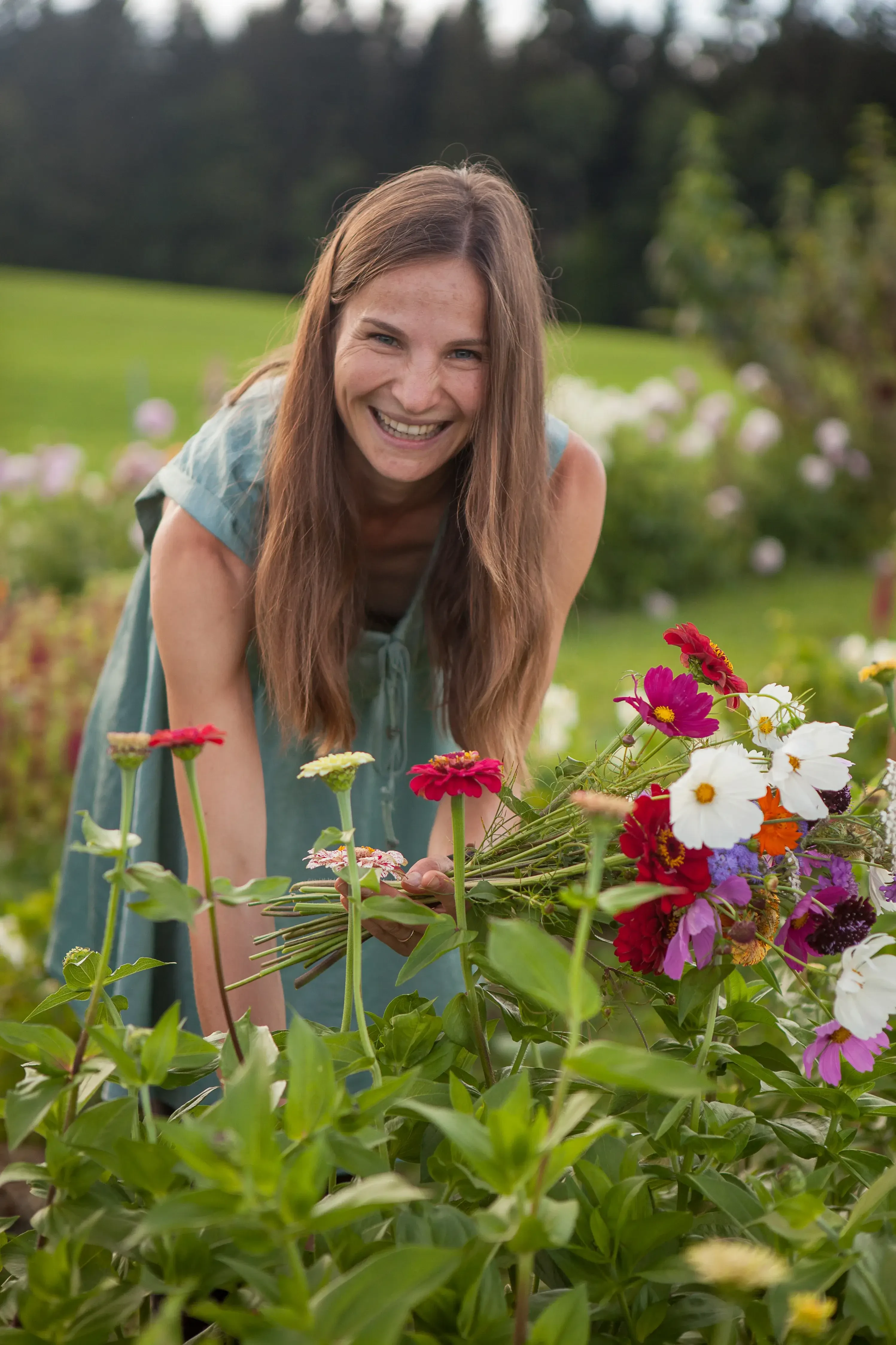 Brigitte Dörner Blumenfeld Ederbauer Wild gewachsen