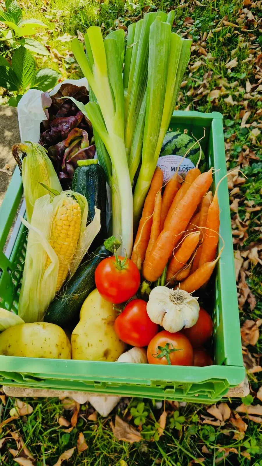 Fanny fresh - Freshbox