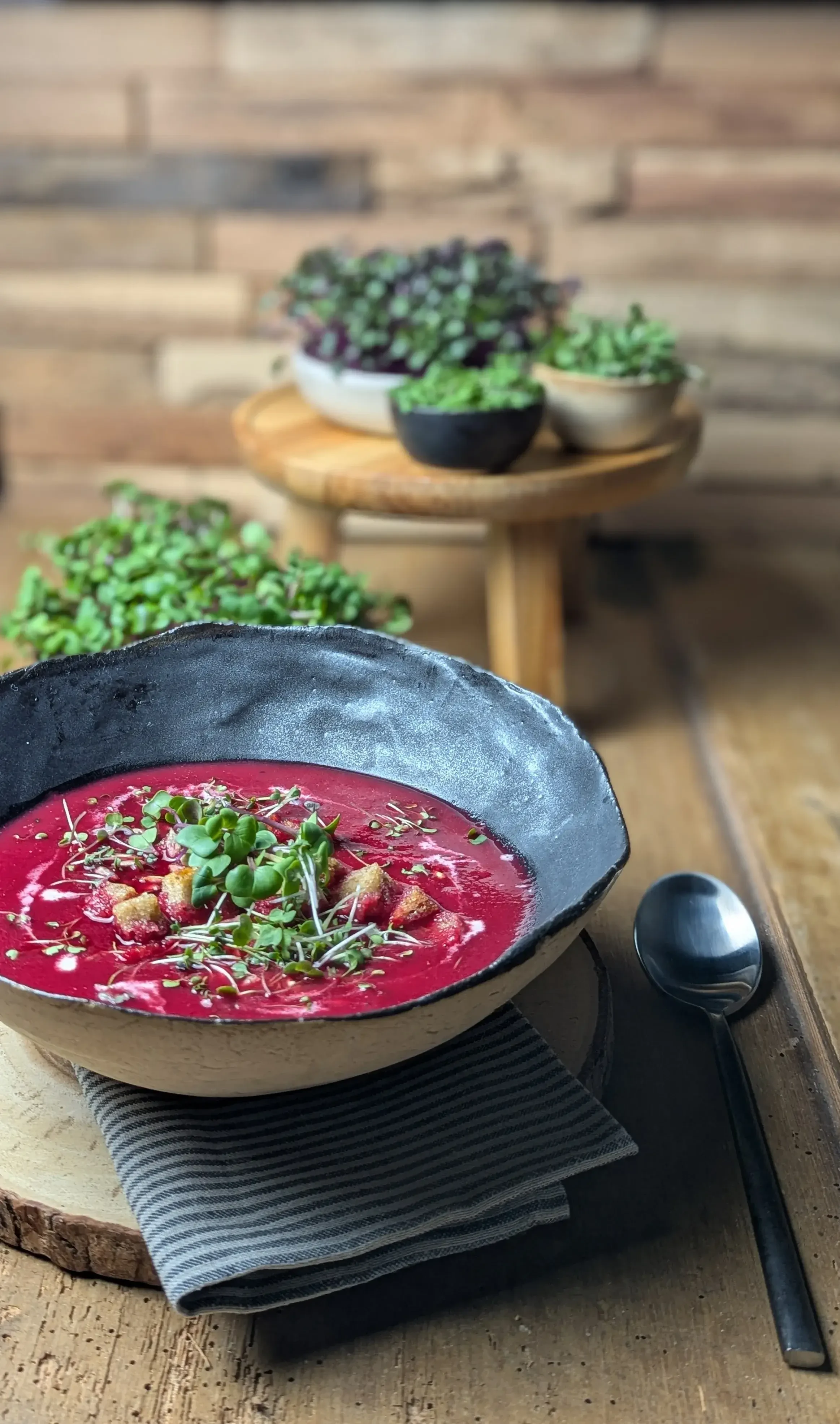 Rote Rüben Suppe mit Sprossen