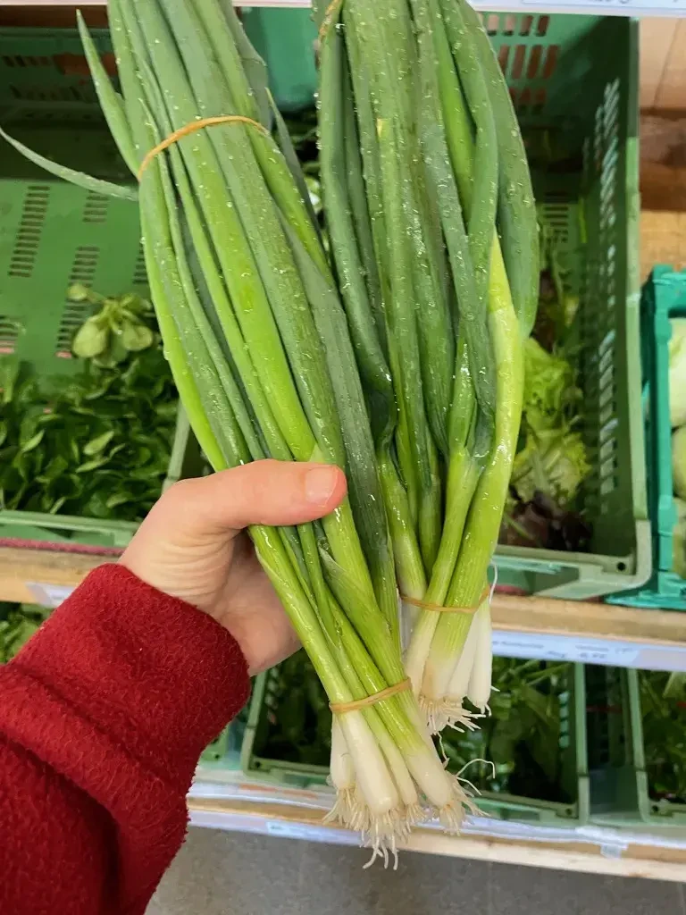 Pertiller Frühlingsjungzwiebel © Biohof Pertiller