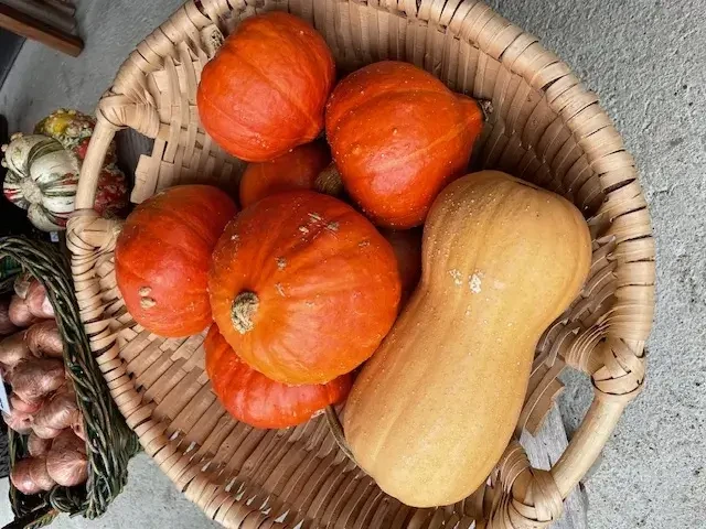 Pertiller Kürbis © Biohof Pertiller