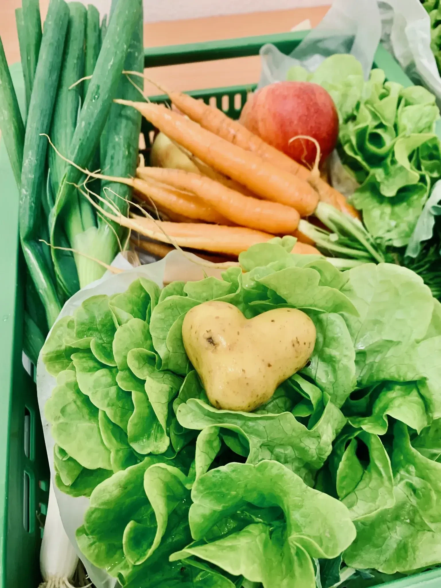 SalatBox Fanny Fresh