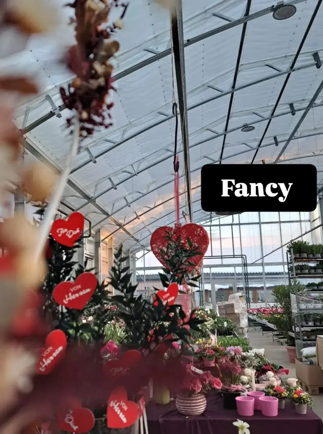 Gewächshaus Blumen Harasek in Seekirchen - regionale Blumen und Ziepflanzen aus Salzburg kaufen