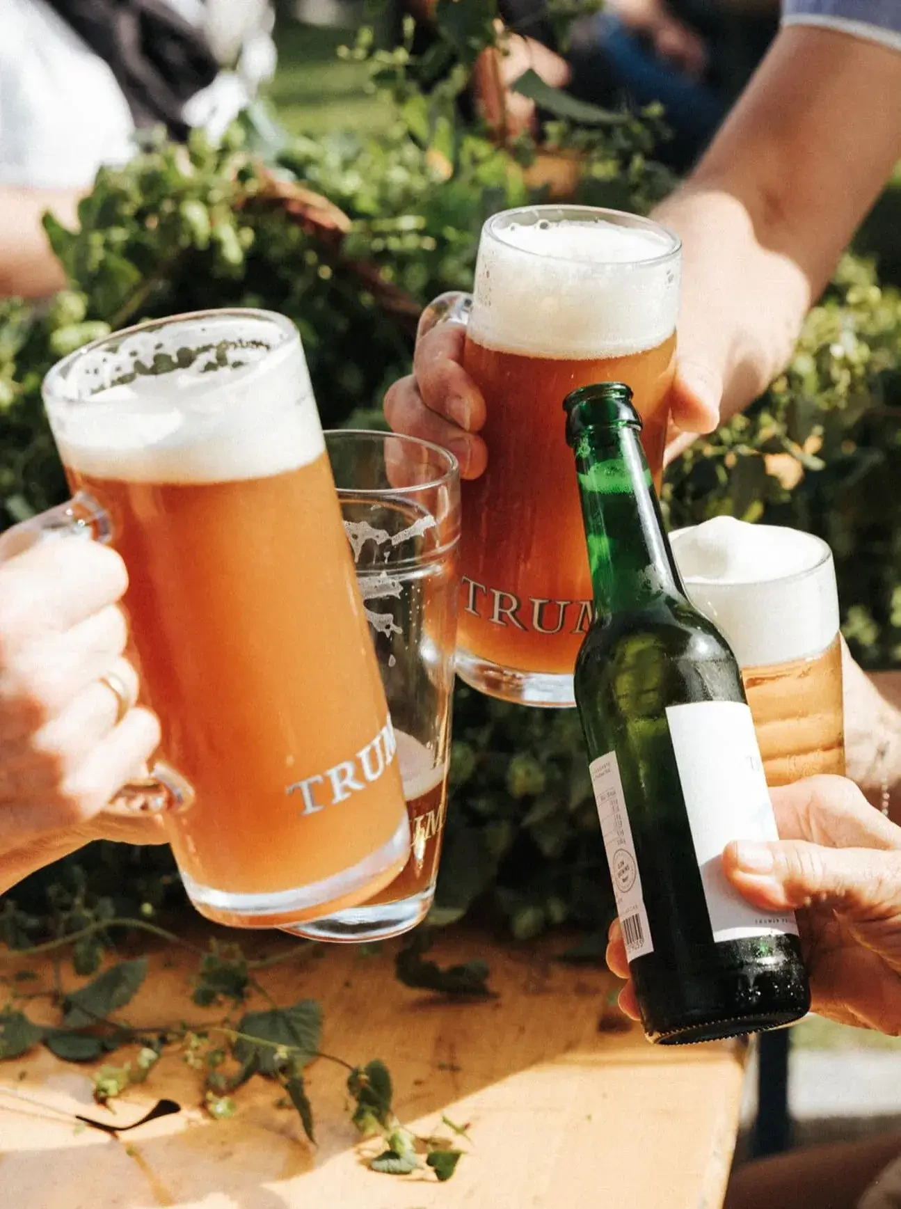 Salzurger Landbier Privatbrauerei Trumer Bier im Glas. Prost auf regionalen Biergenuss aus Salzburg.