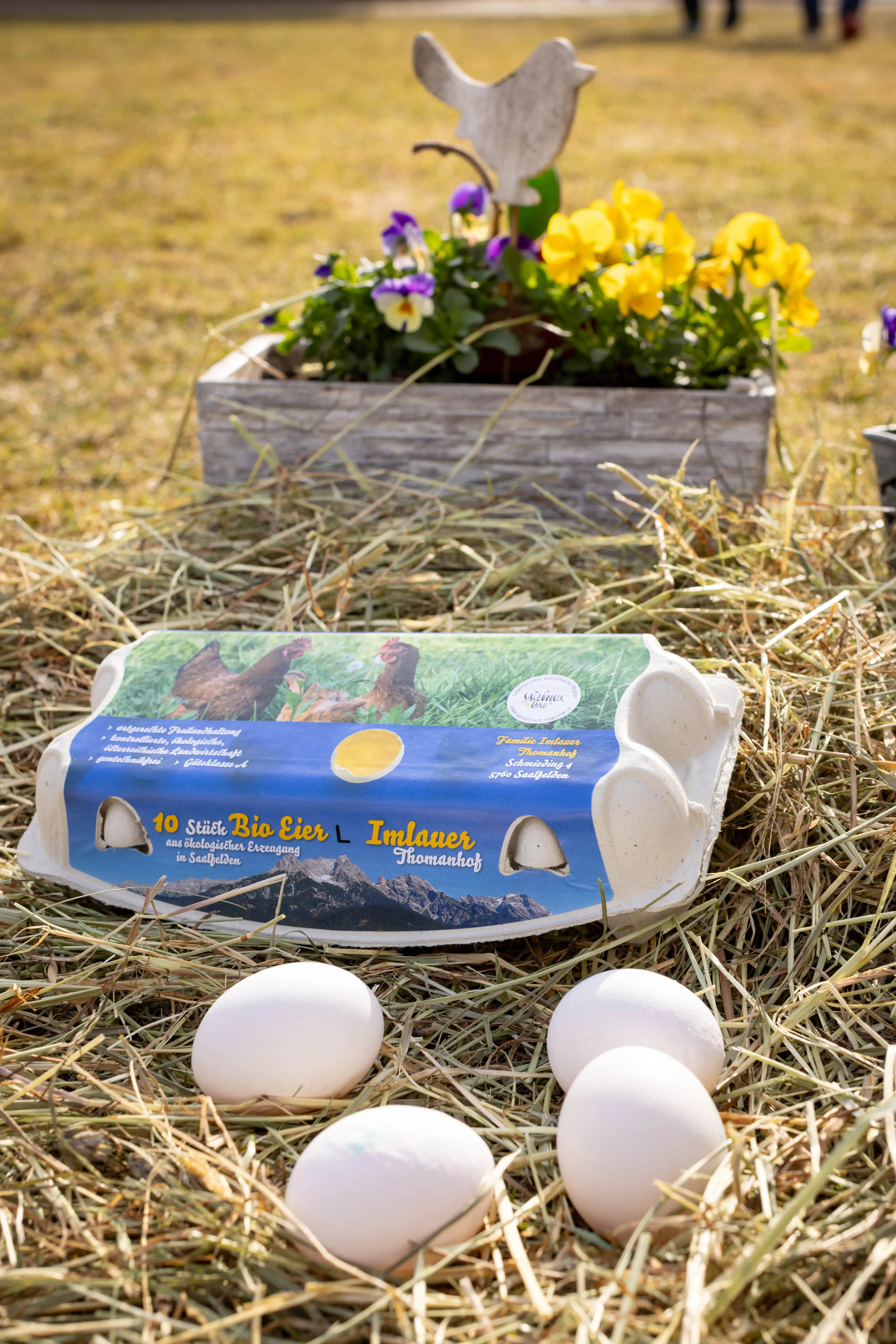 Eier vom Thomanhof in Saalfelden