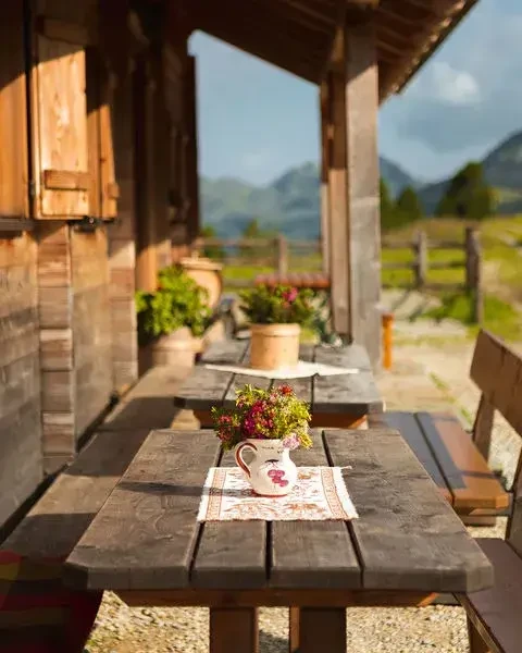 Twengeralm. Traditionell bewirtschaftet mit Pinzgauer Milchkühen und Tauernschecken-Ziegen – mit eigener Herstellung regionaler Spezialitäten aus dem Pflanzenschutzgebiet Niedere Tauern.