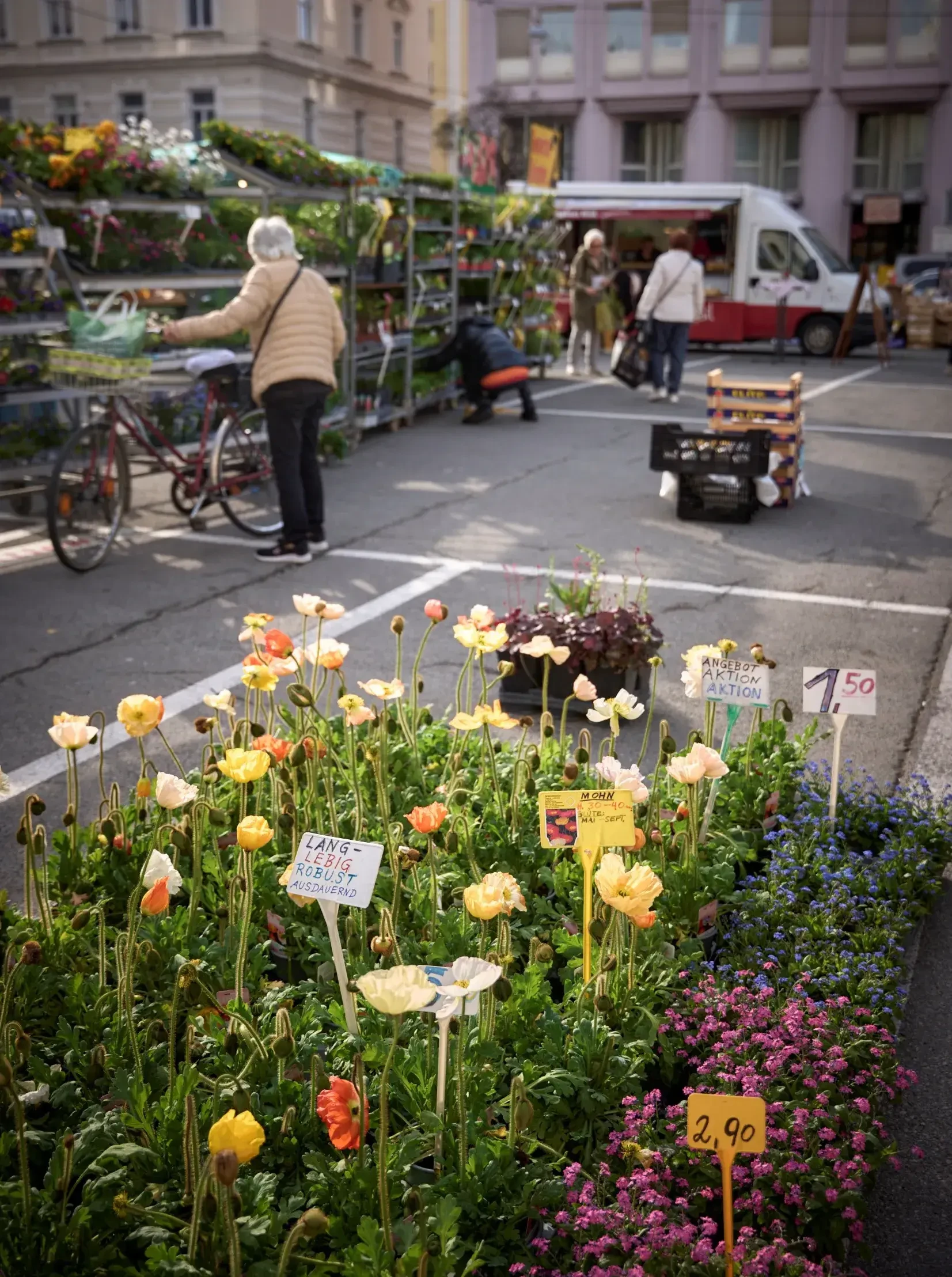 Salzburger Schranne Blumen vom Standler