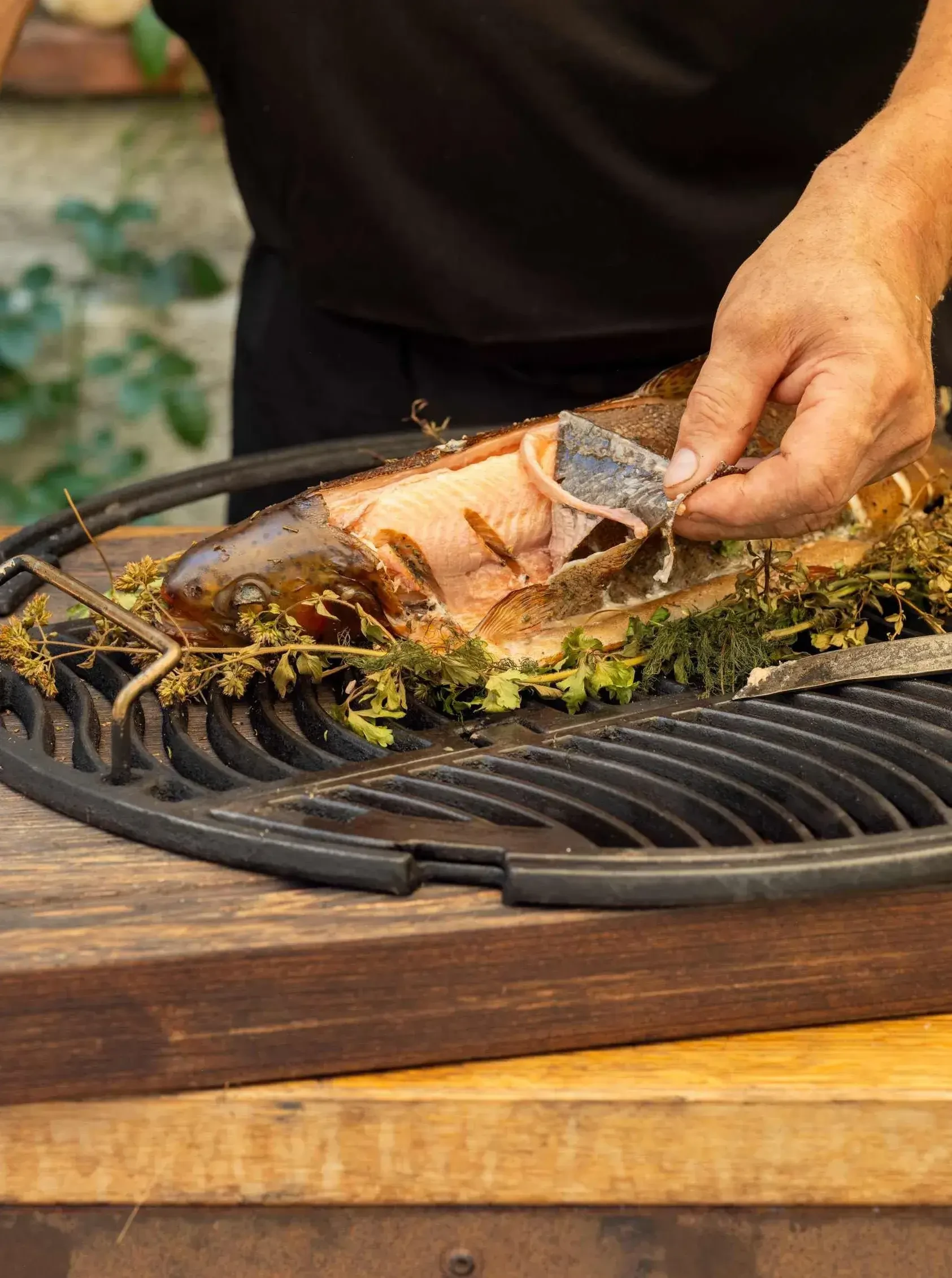 Forelle gegrillt © AMA Marketing S. Priller