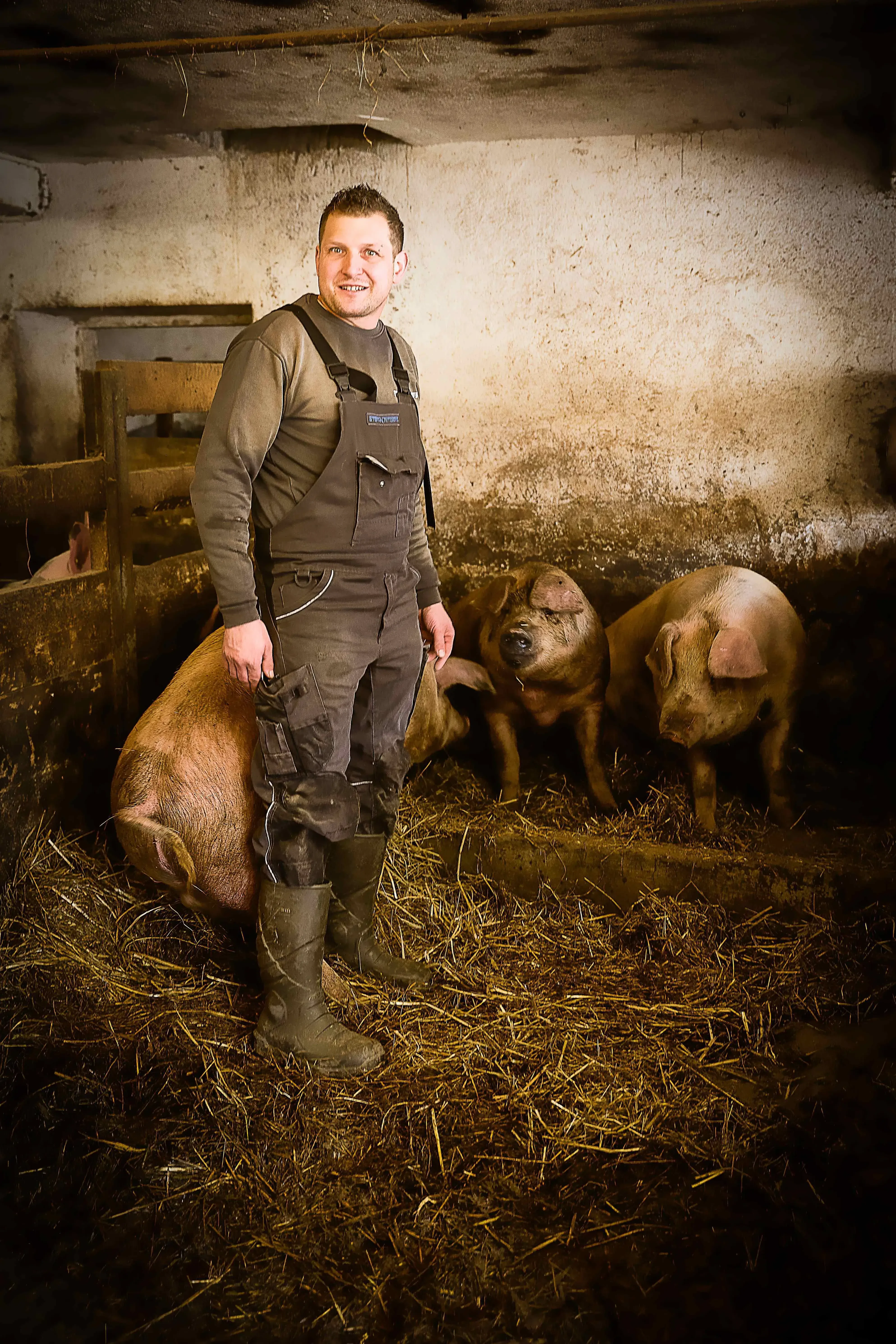 Prestlhof Rupert Müllner im Stall mit seinen Schweinen