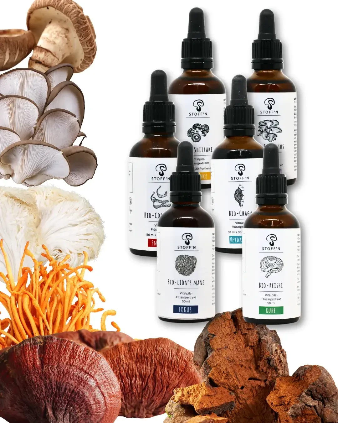 Stoffn Bio Vitalpilze aus Schleedorf