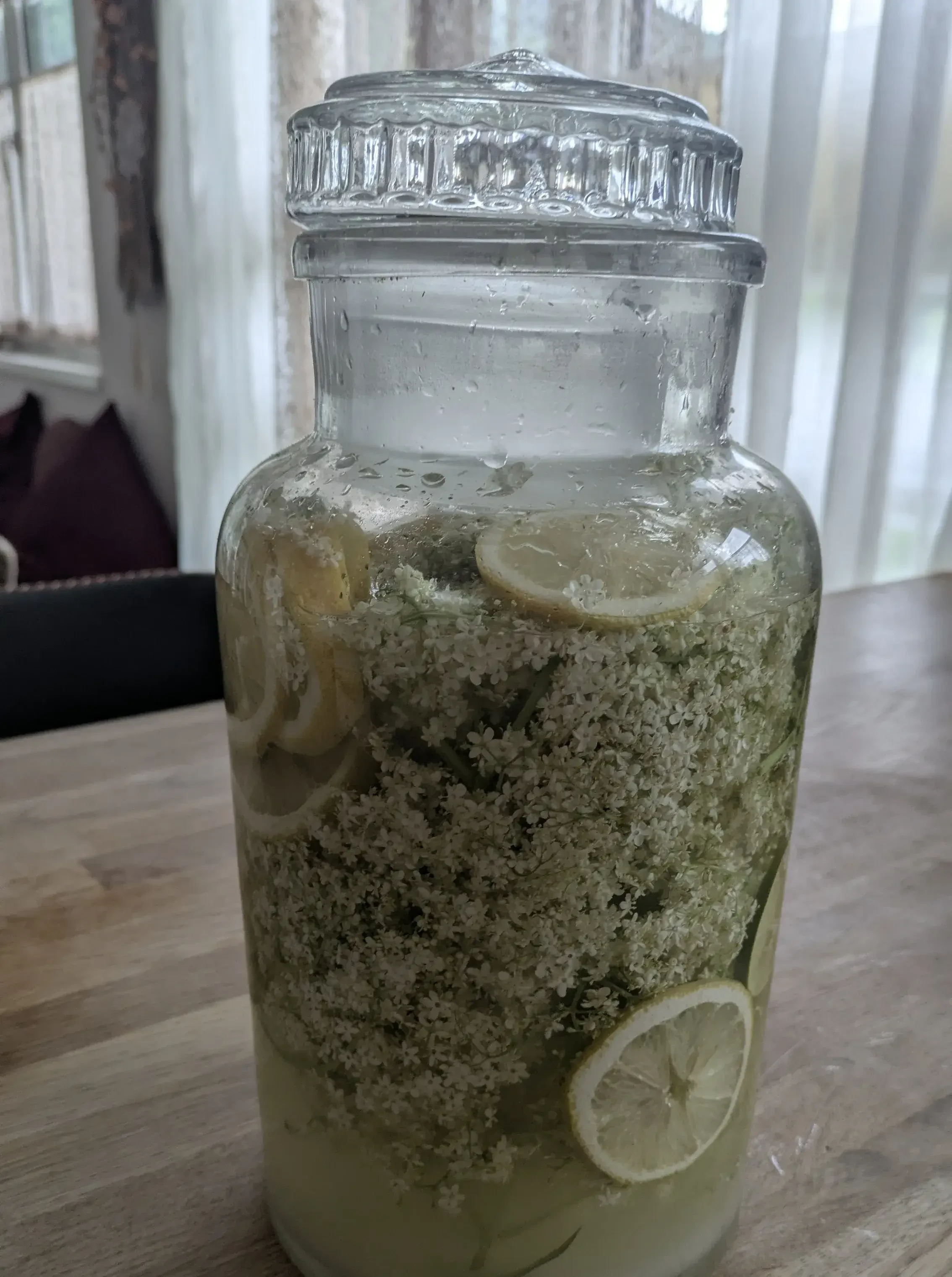 Hollerkracherl im Glas
