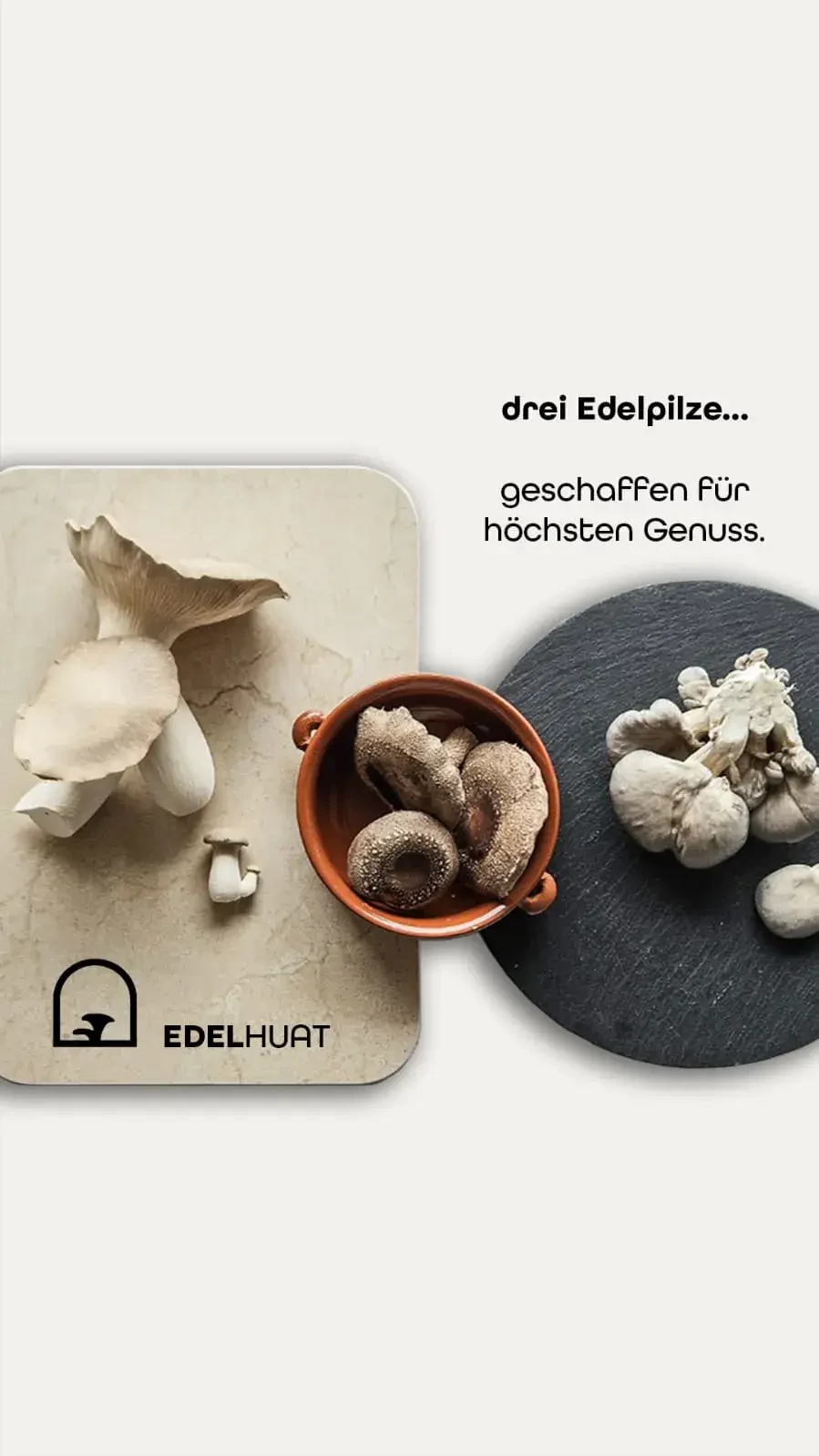 Kräuterseitlinge Shiitake Austernseitlinge Bio Pilze Neubach Edelhuat