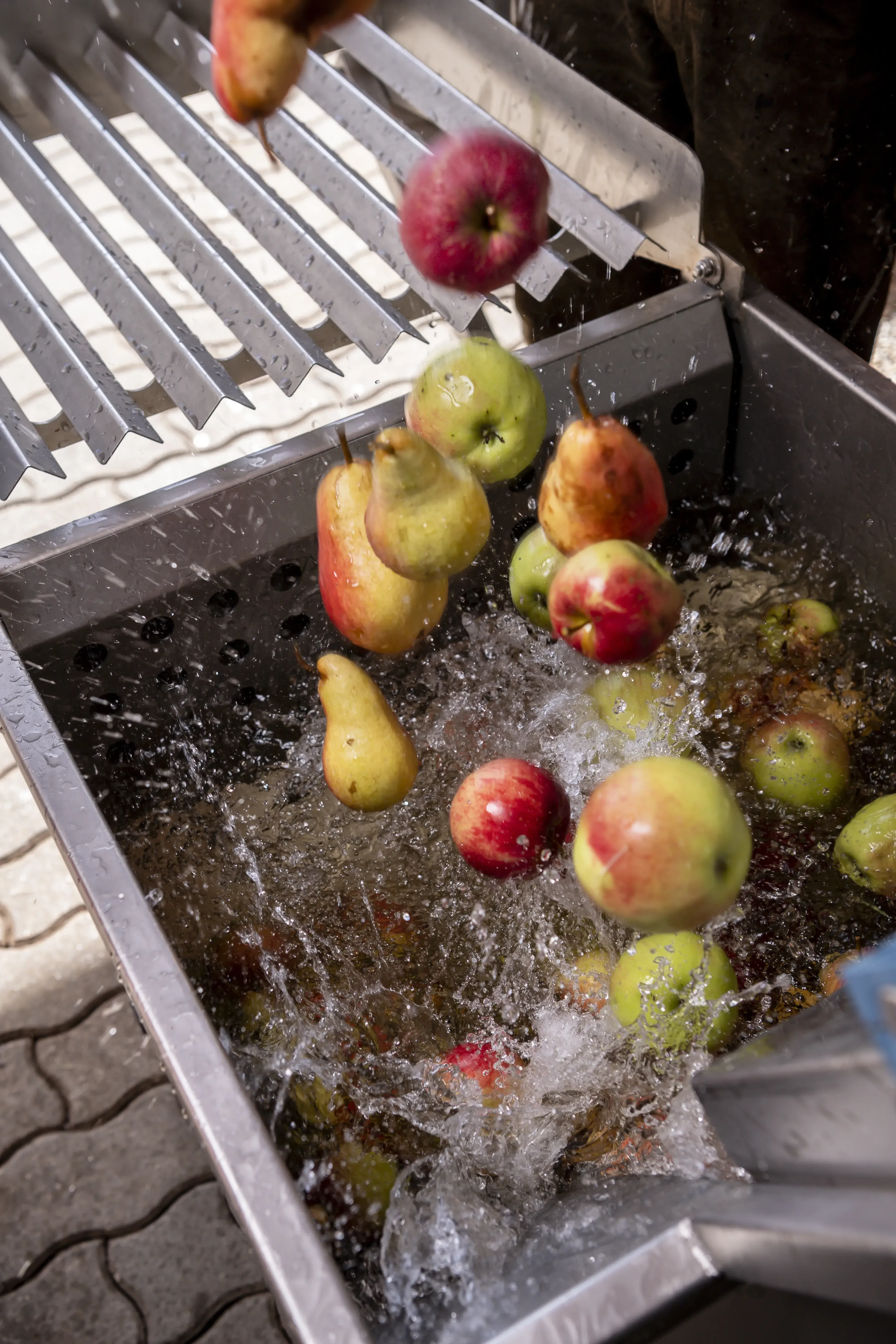 Obstpressenj