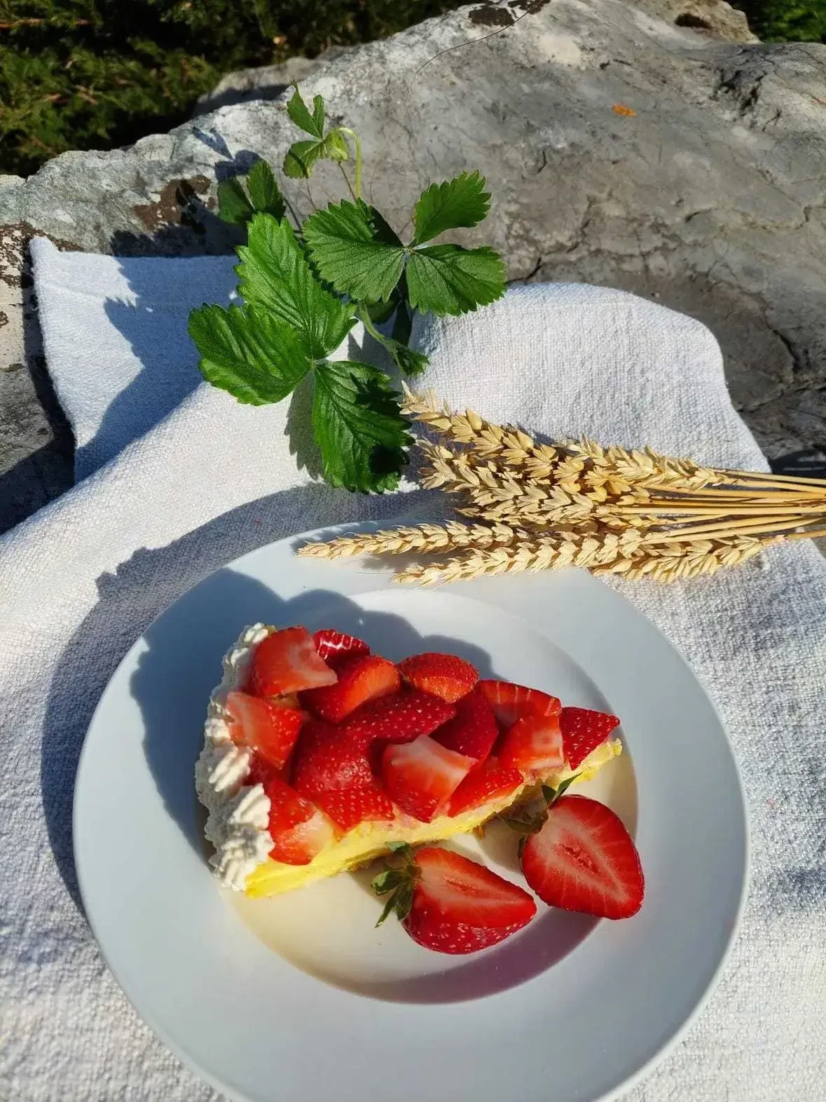 Geleekuchen