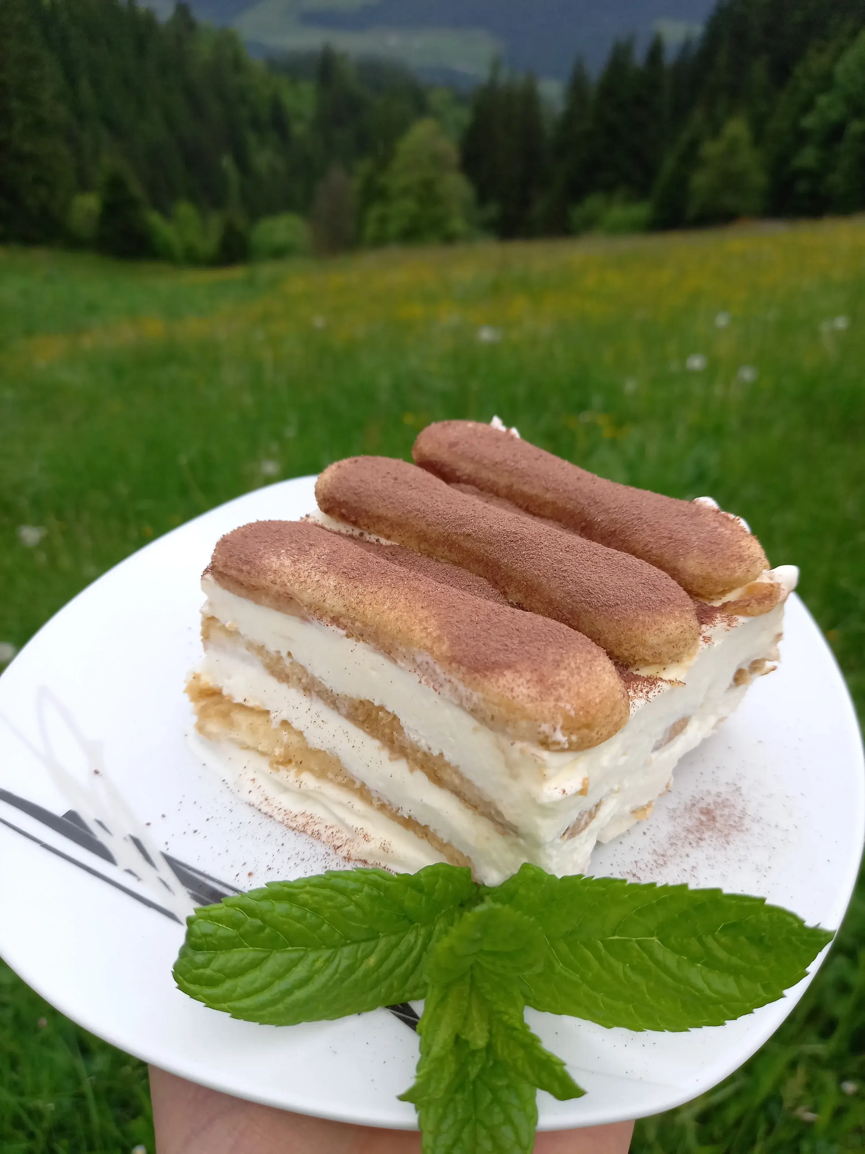 Tiramisu ohne Ei