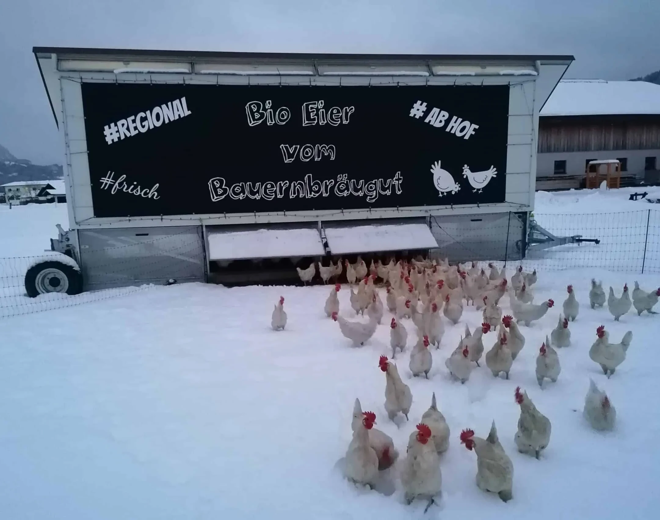 Bauernbräugut Hühnerstall im Freien Winterlandschaft
