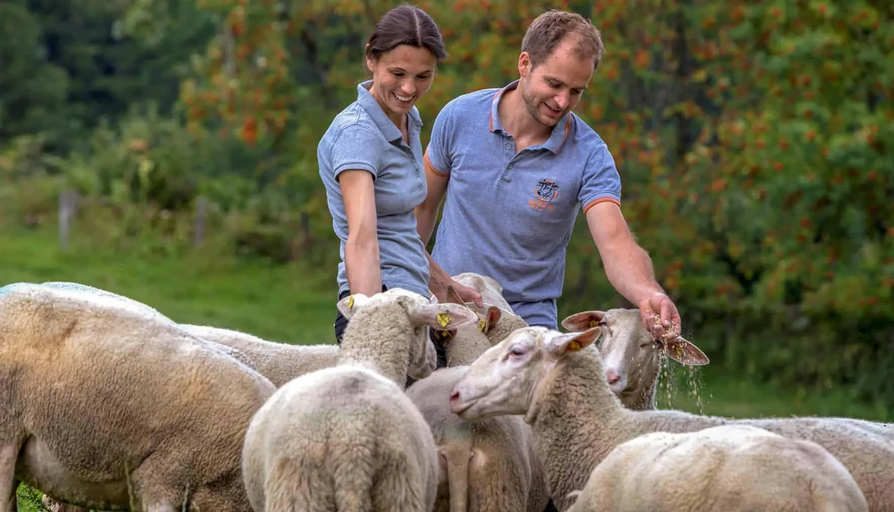 Besitzerfamilie mit Schafherde auf Weide 