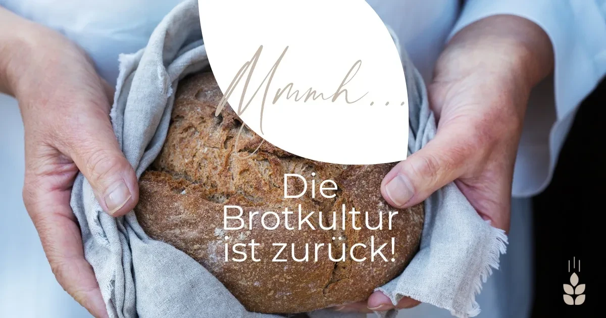 Brotkultur