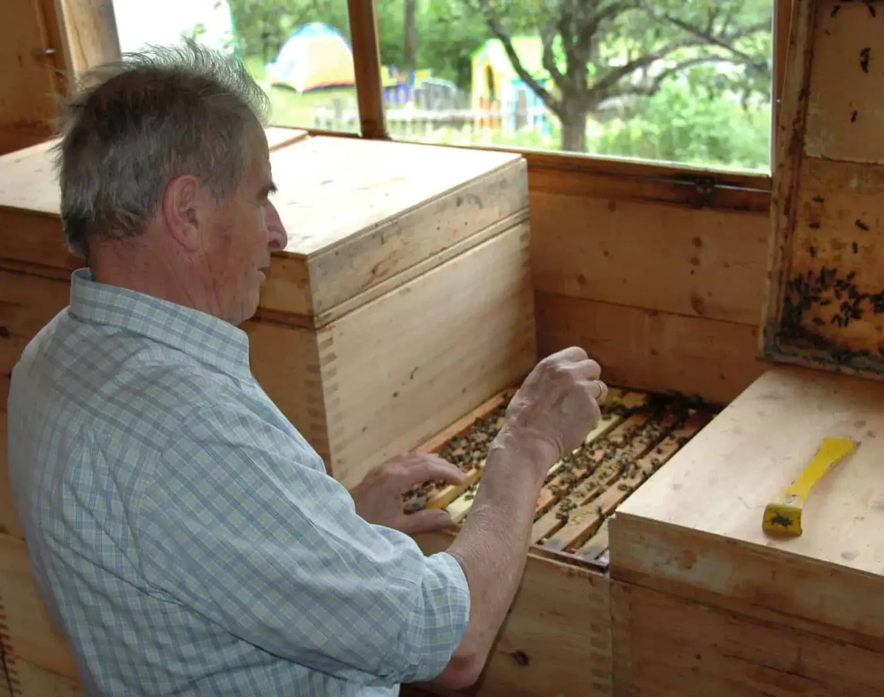 Imker mit Bienenstöcke