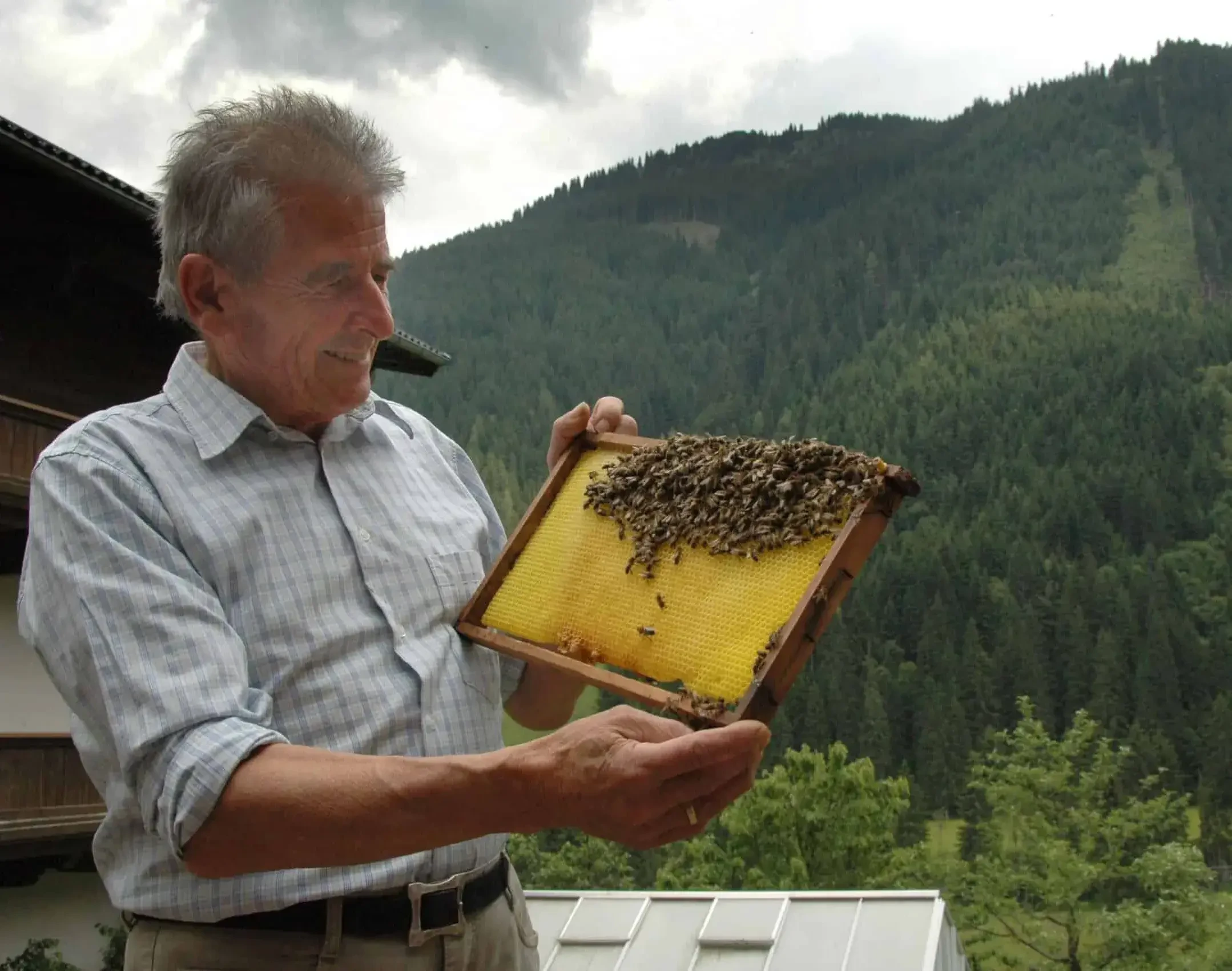 Imker mit Bienenwabe
