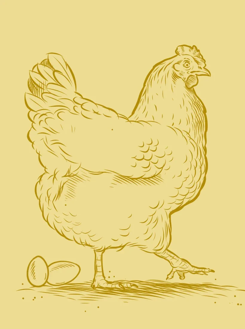 Eier