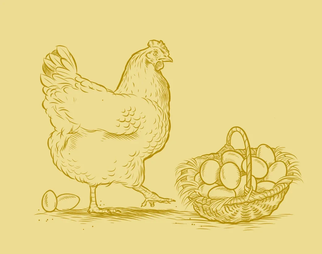 Eier
