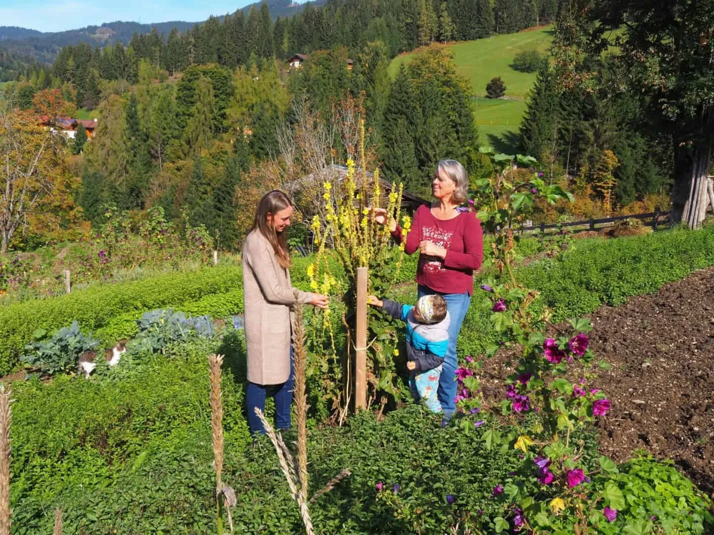 Familie bei der Ernte