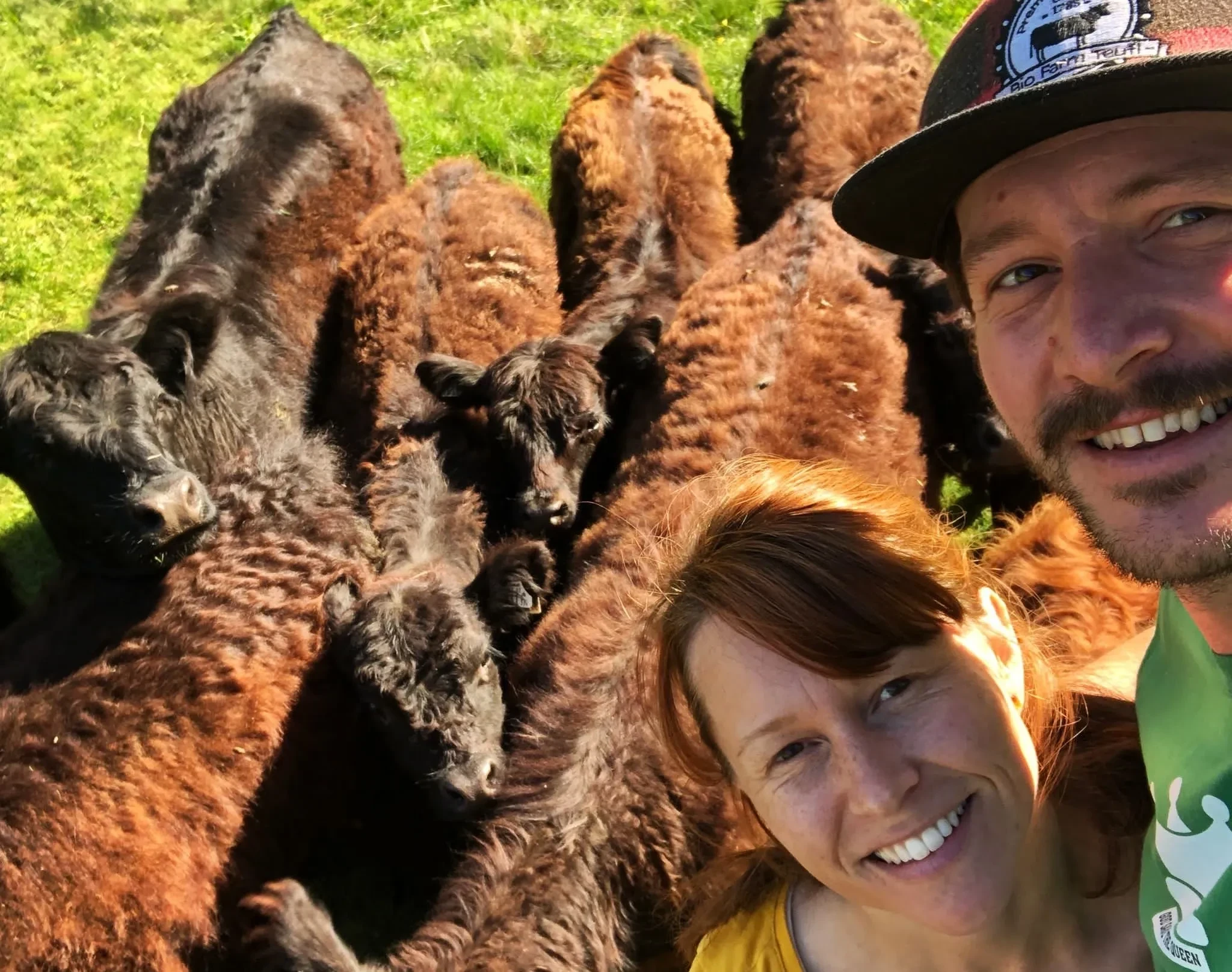Silvia und Andreas Teufl mit ihren Galloways