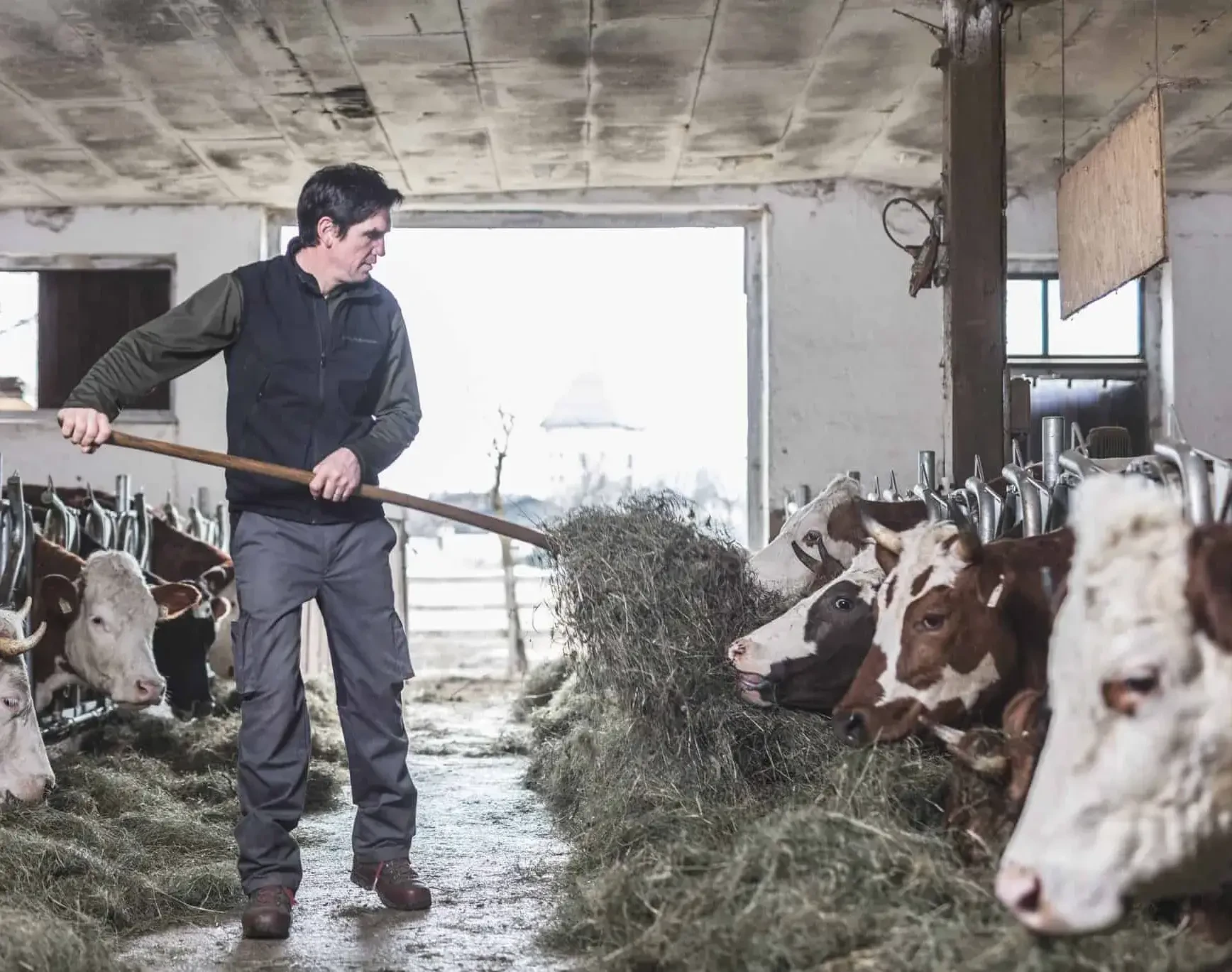Stiegerbauer