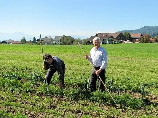 Feldarbeit