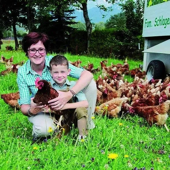 Familie im Gras mit Hühner