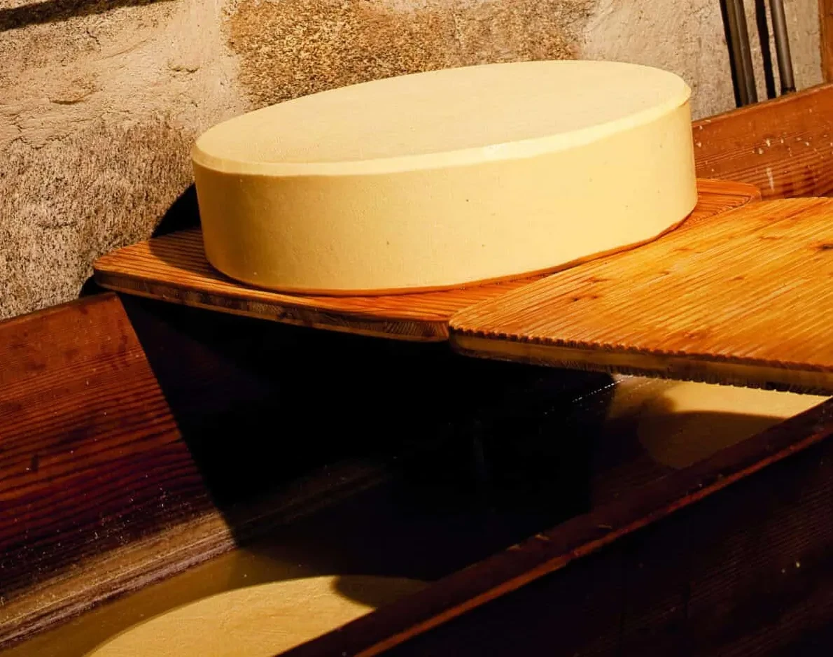 Käse