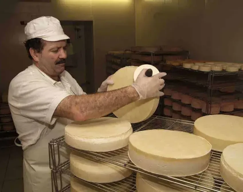 Behandlung Käse 