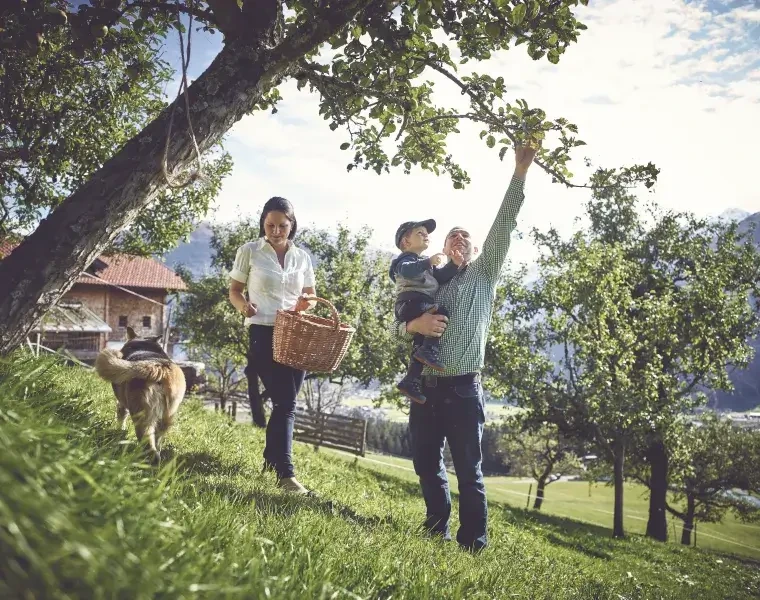 Scharlern Obstgarten