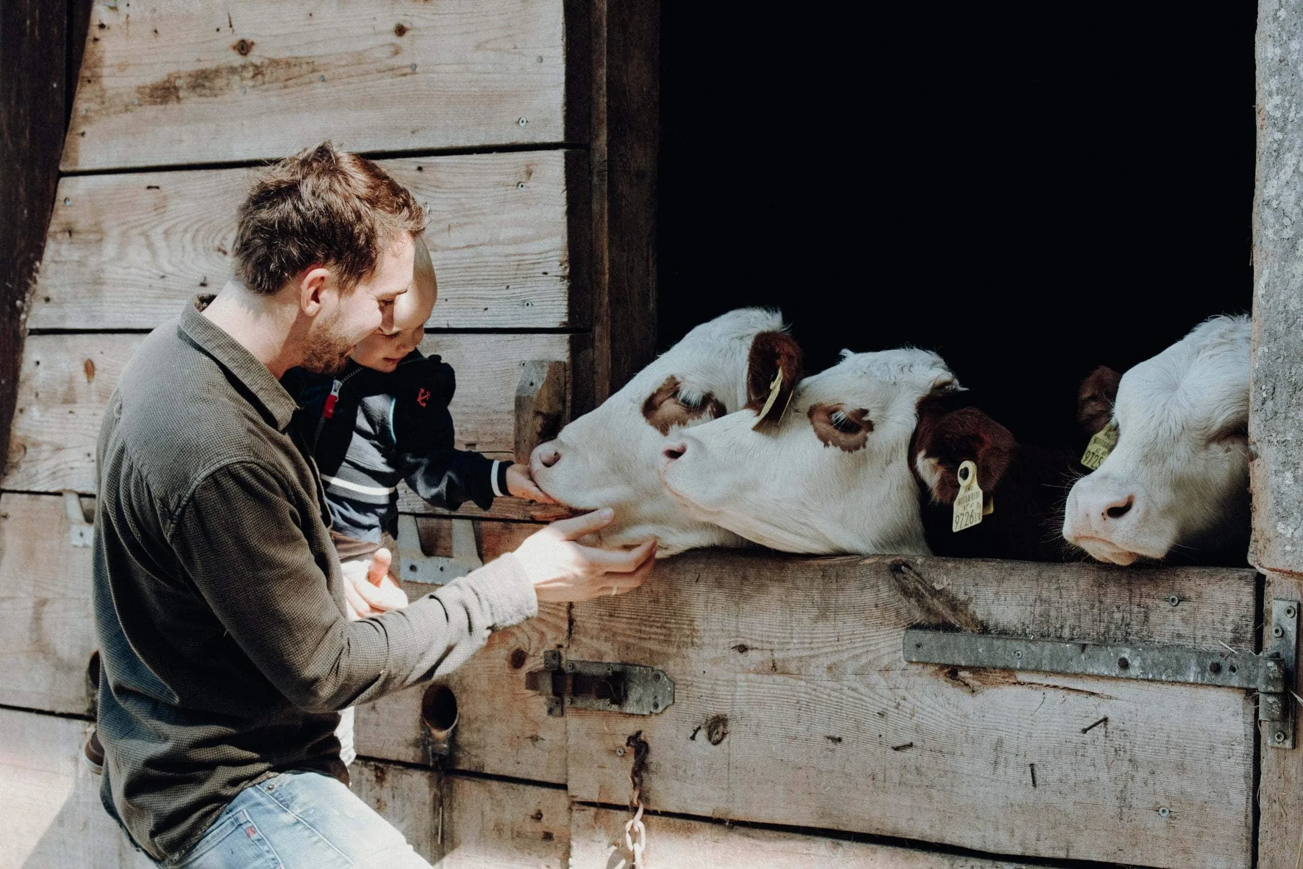 Landwirtschaft