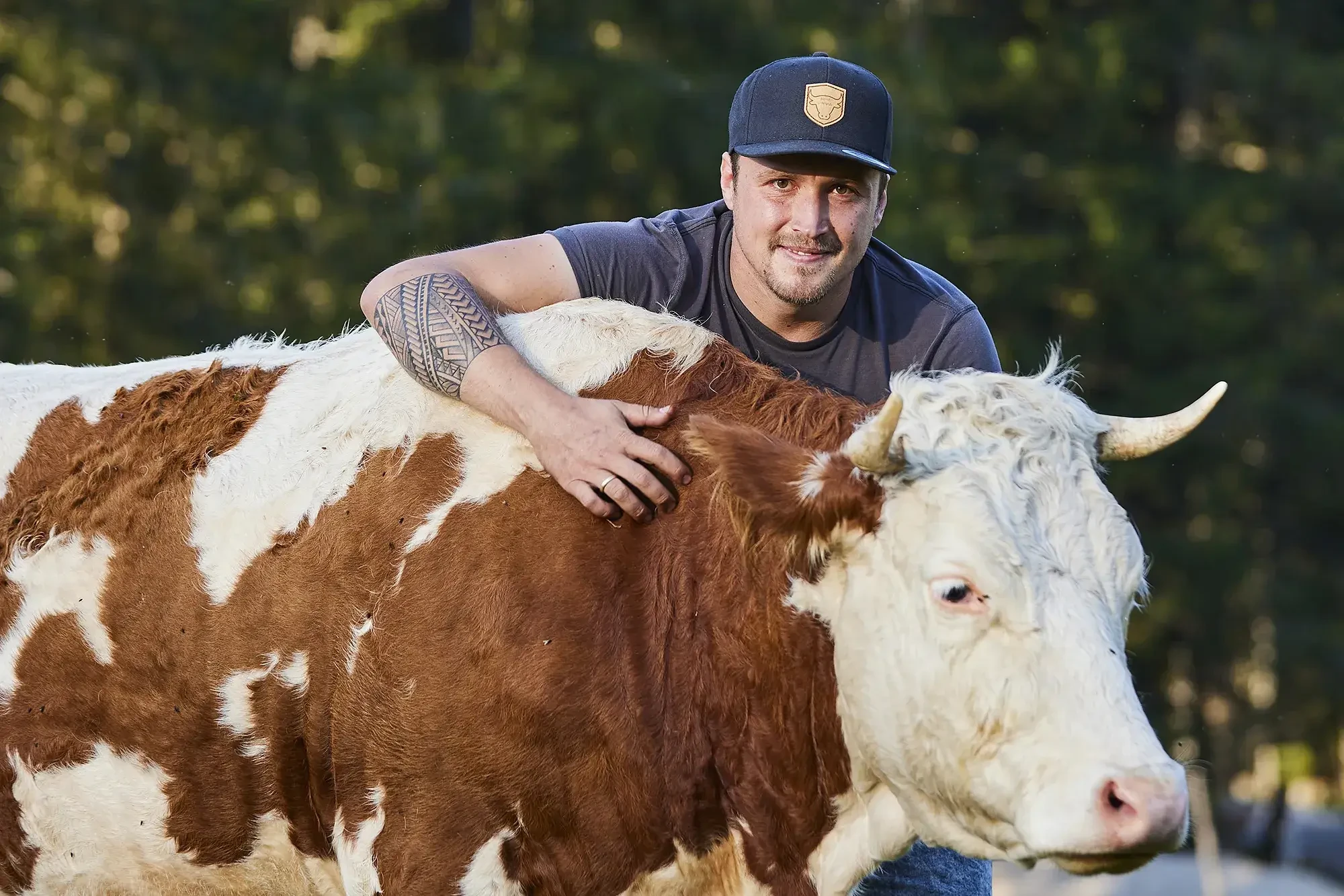 Georg Buchegger mit Kuh Untergrub: Hier ist für beste Rindfleischqualität gesorgt.