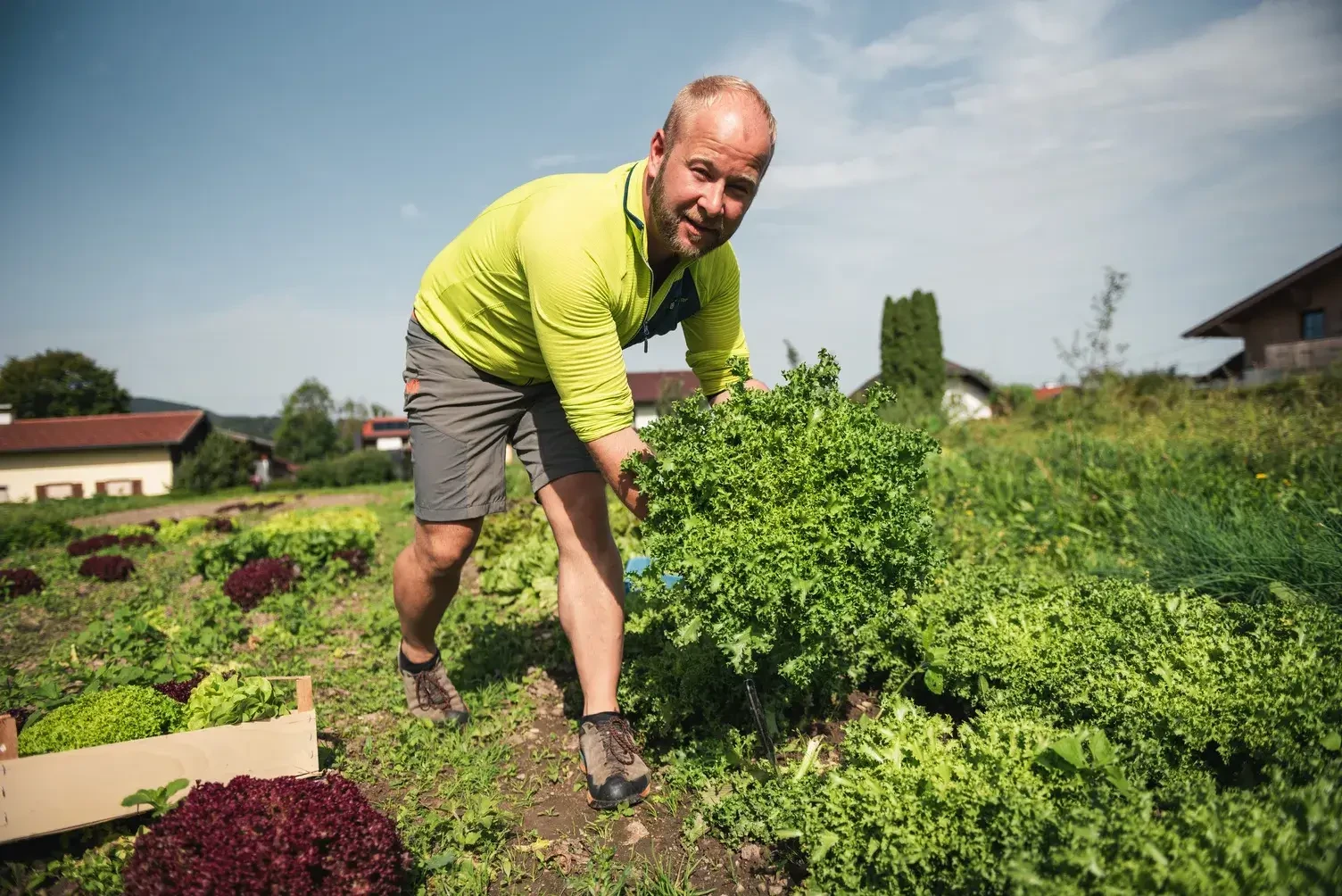 Garten Gemüse Anbau Königgut Familie Reiter