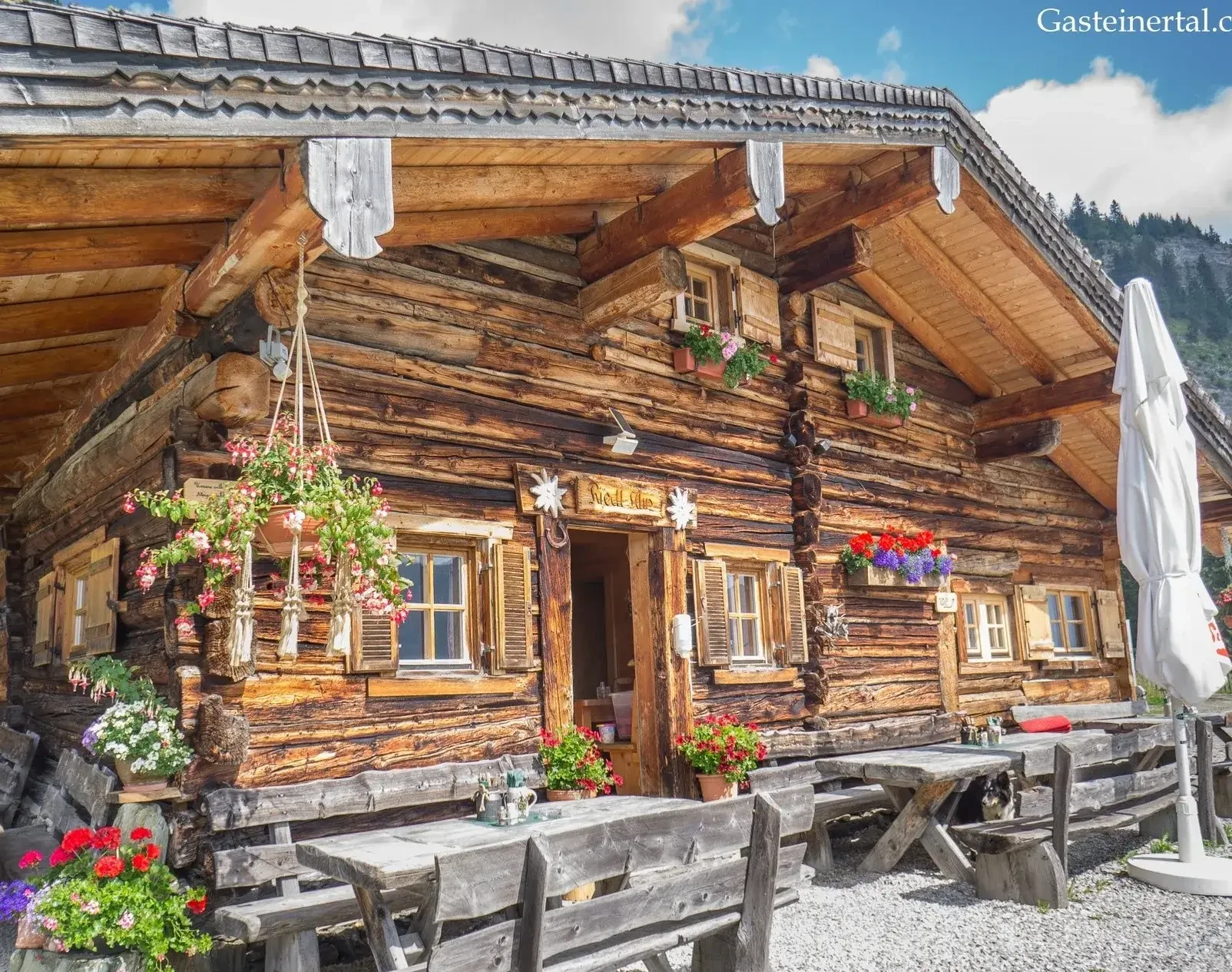 Riedlalm 4 © Familie Hartl gasteinertal