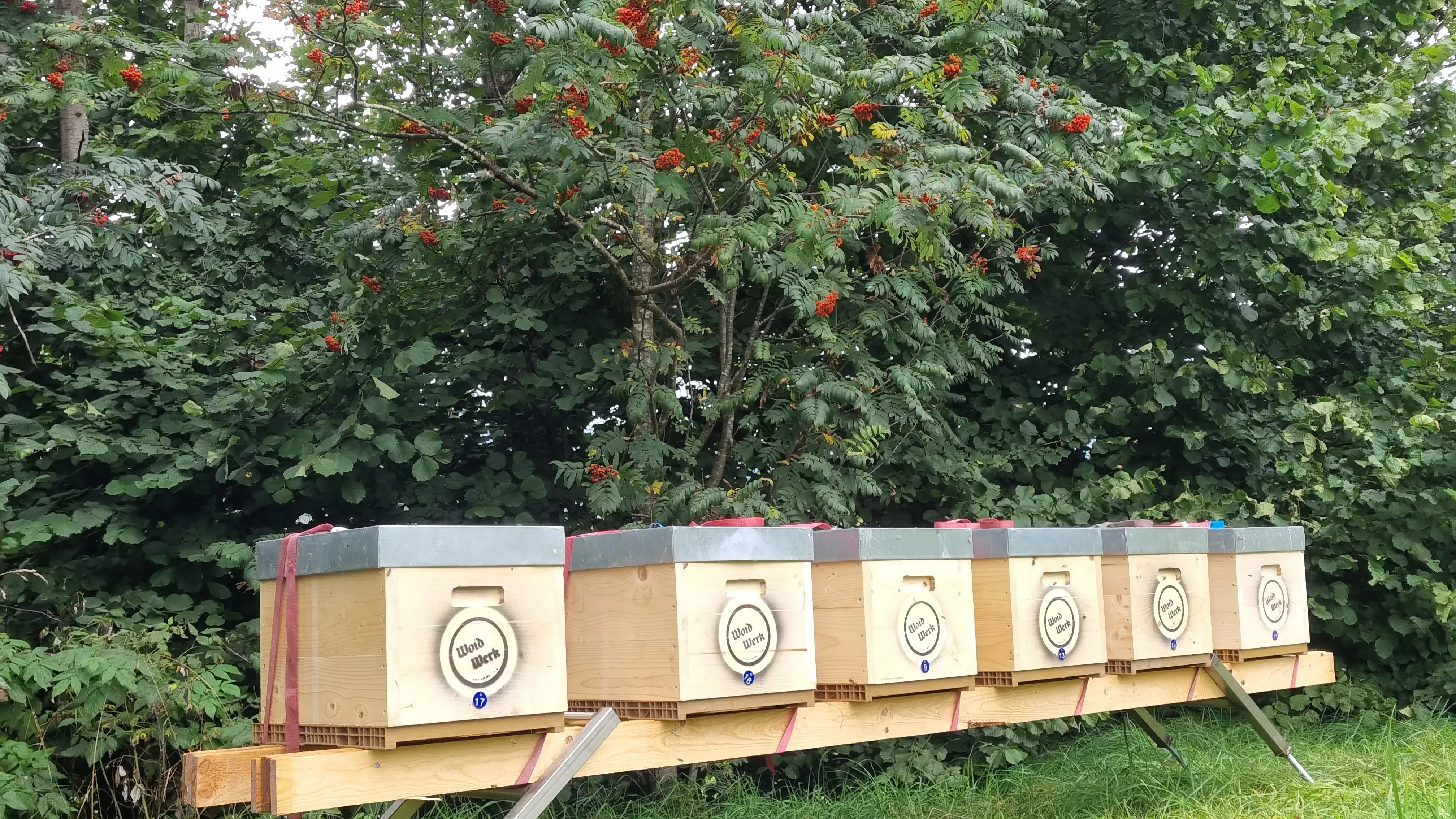 Beuten, Bienenstöcke